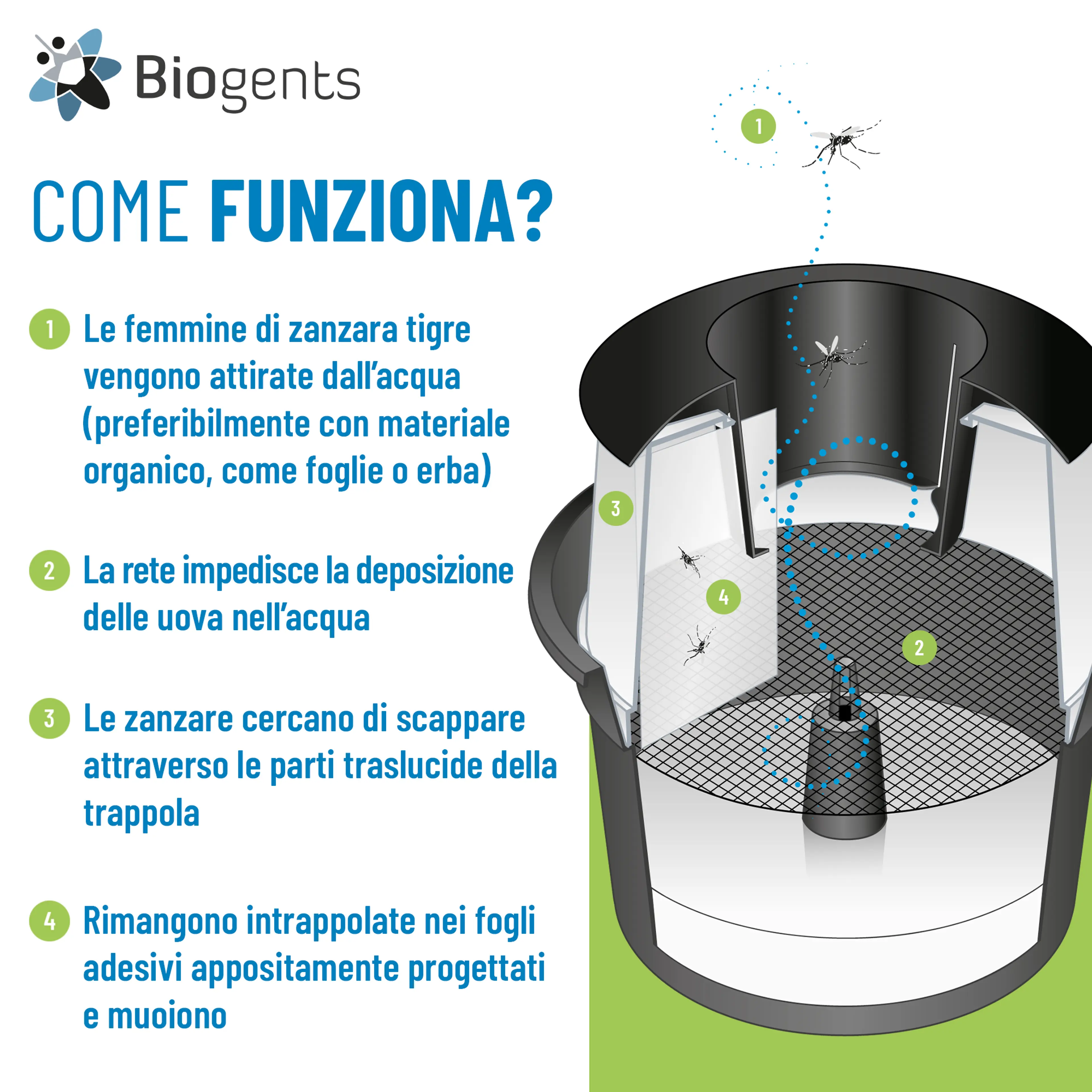 Set di due trappole per zanzare tigre: 2x BG-GAT 