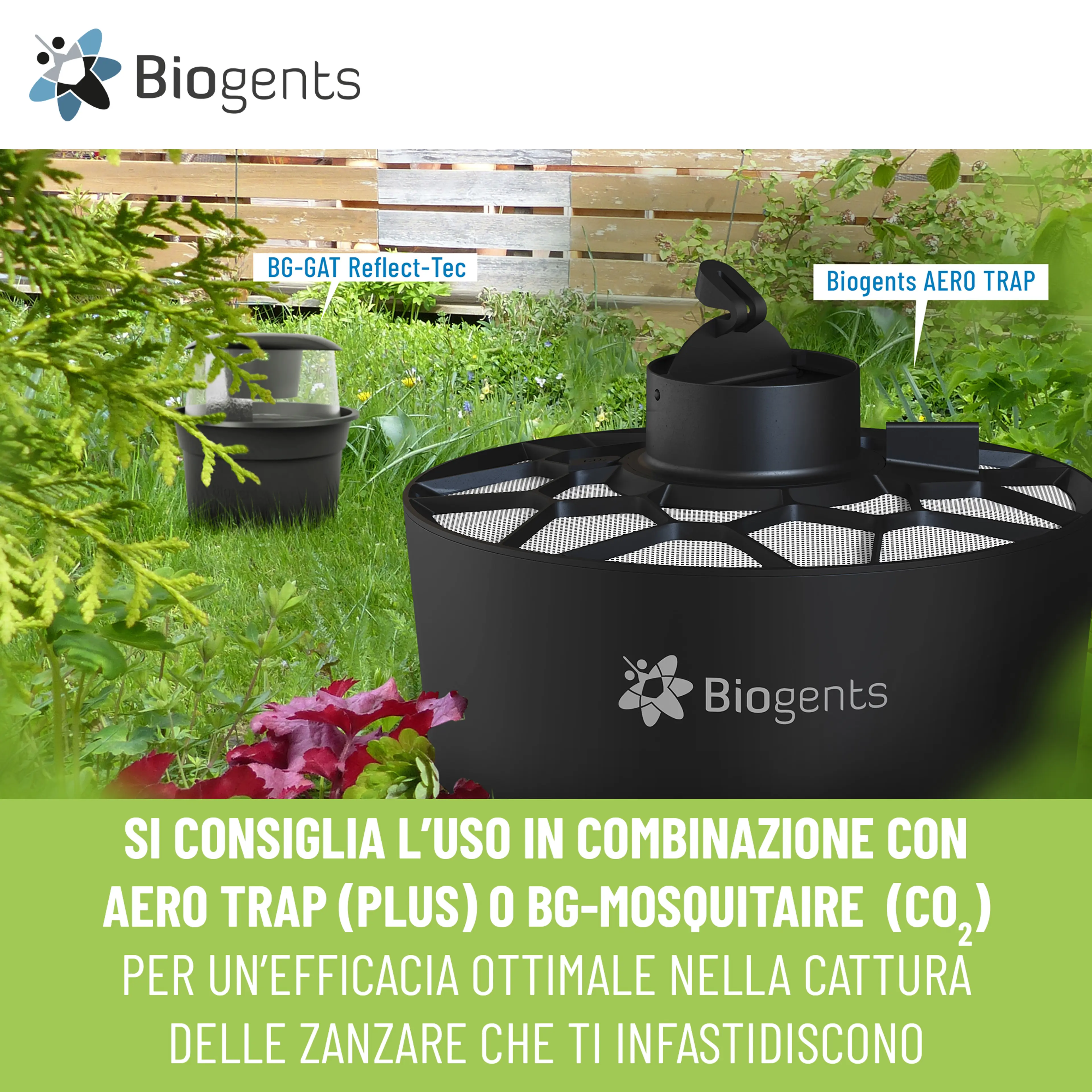 Set di due trappole per zanzare tigre: 2x BG-GAT 