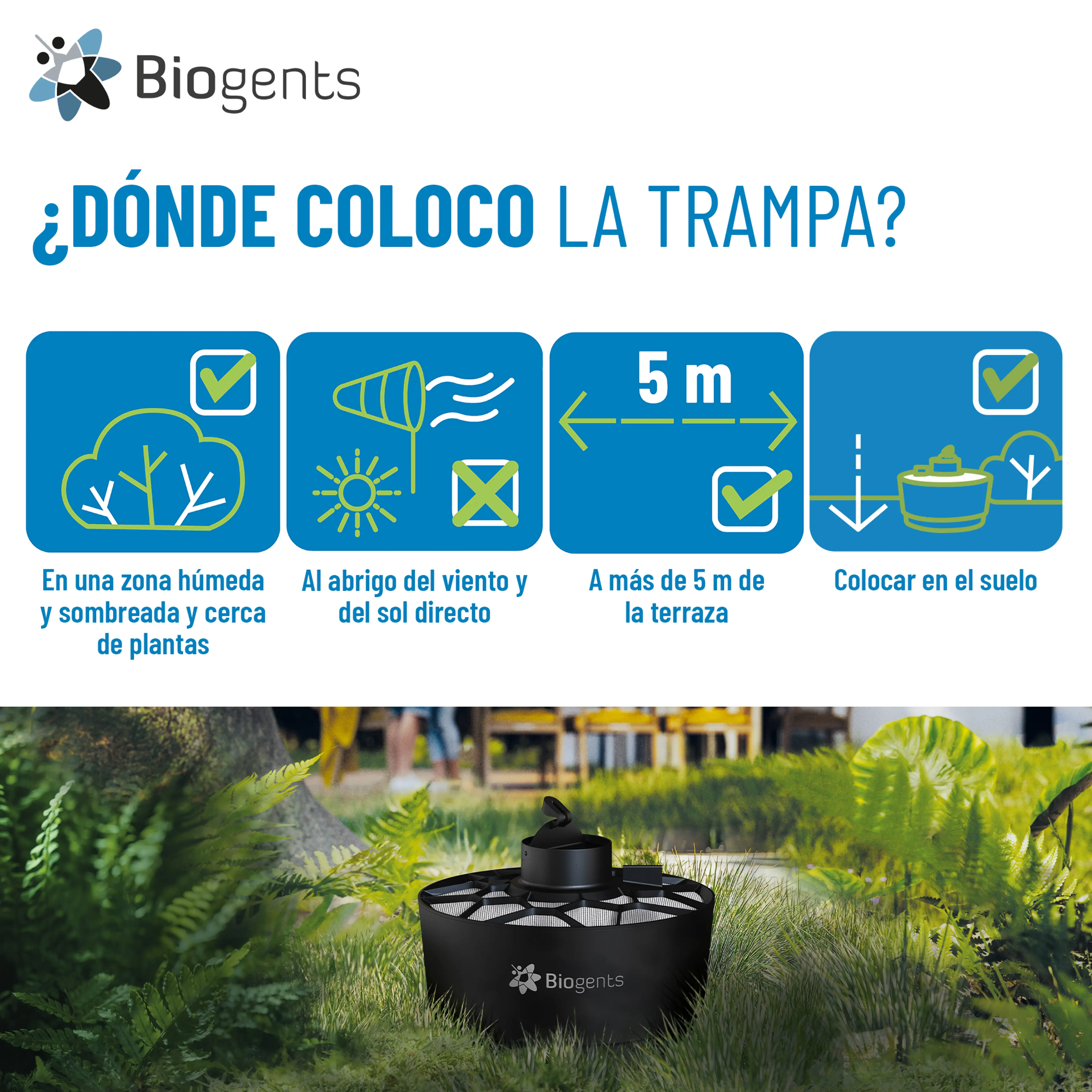 Trampa básica para mosquitos: AERO TRAP  