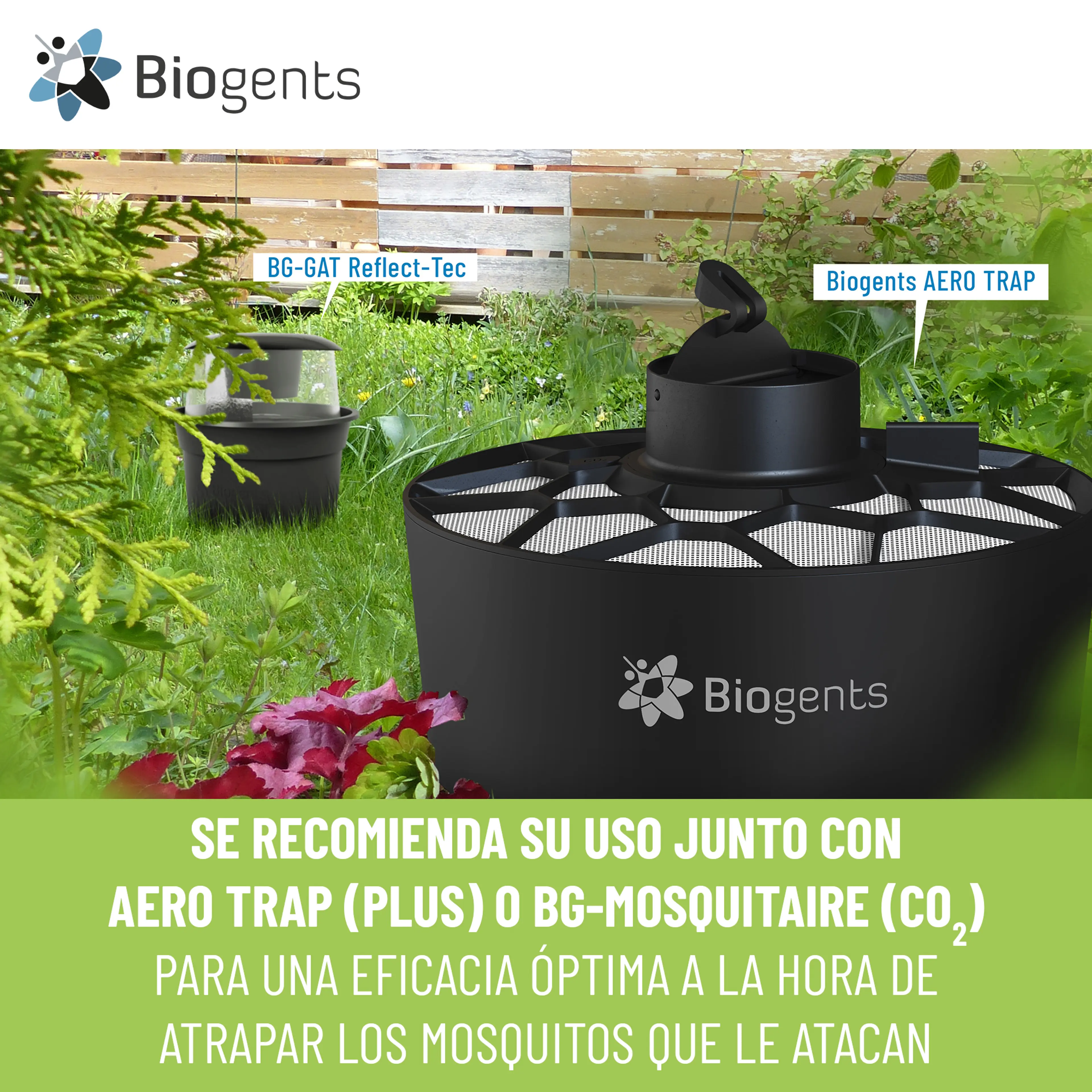 2 Trampas para el mosquito tigre reduce la reproducción - BG-GAT