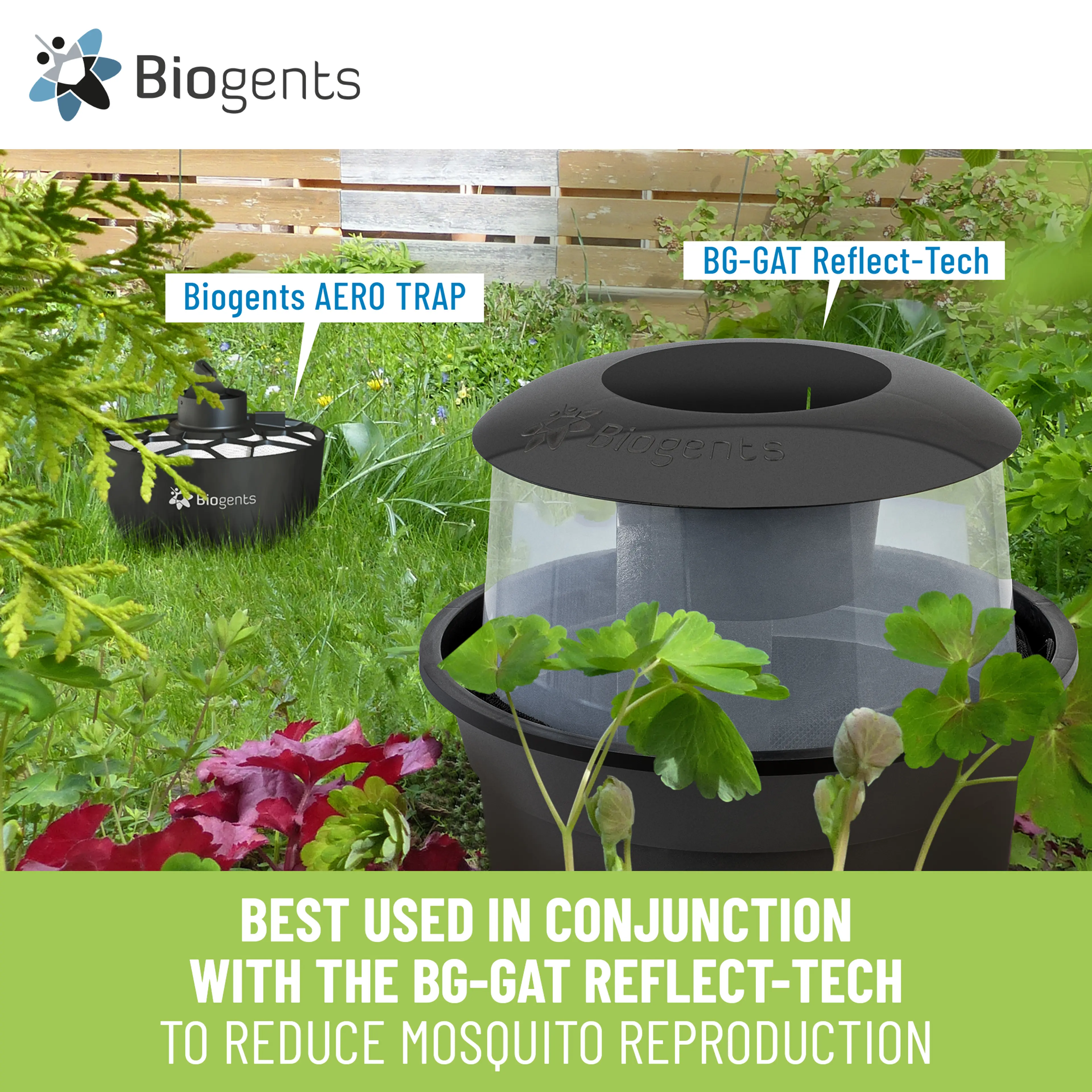 Basic Mosquito Trap: AERO TRAP