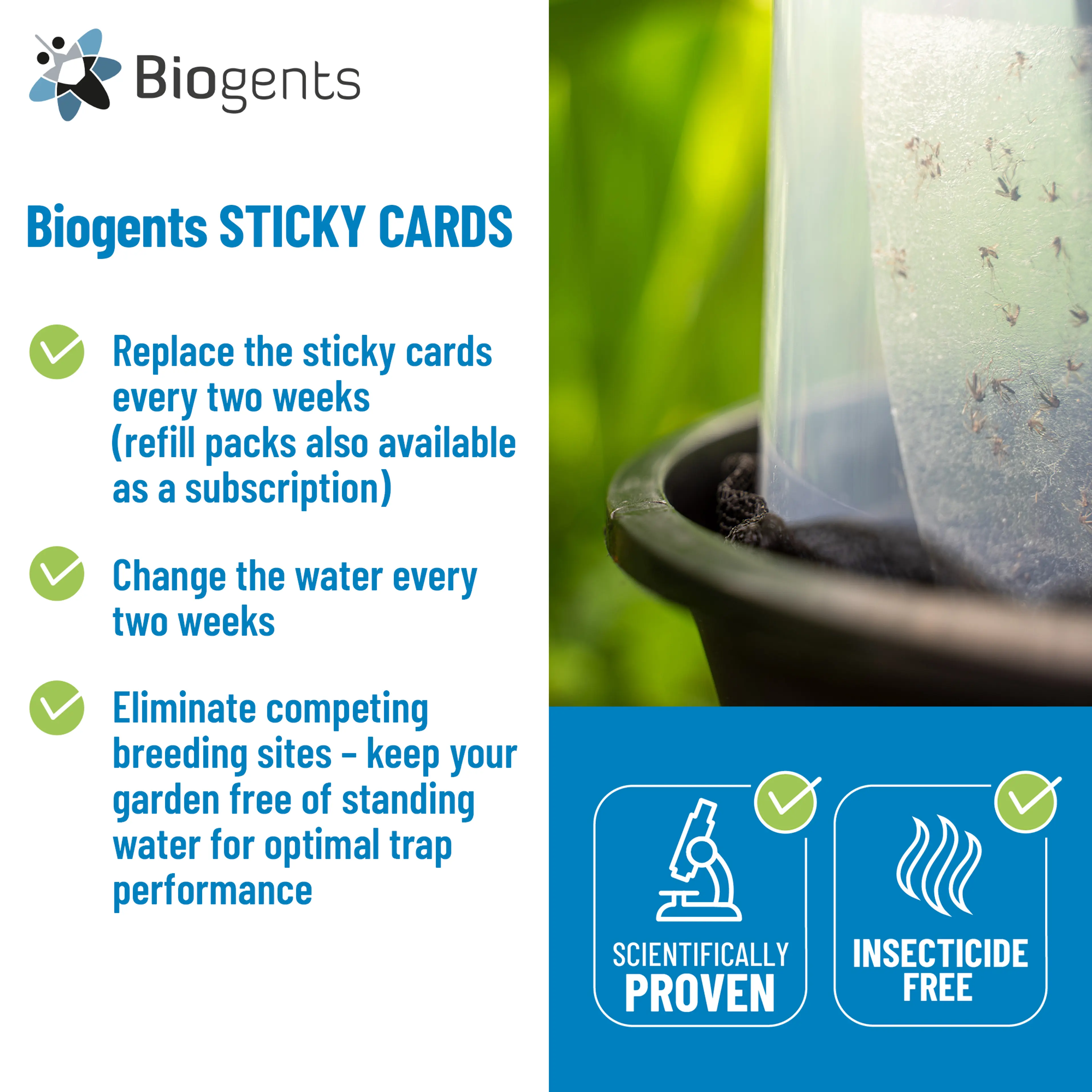 Sticky Cards Refill Pack (10x)