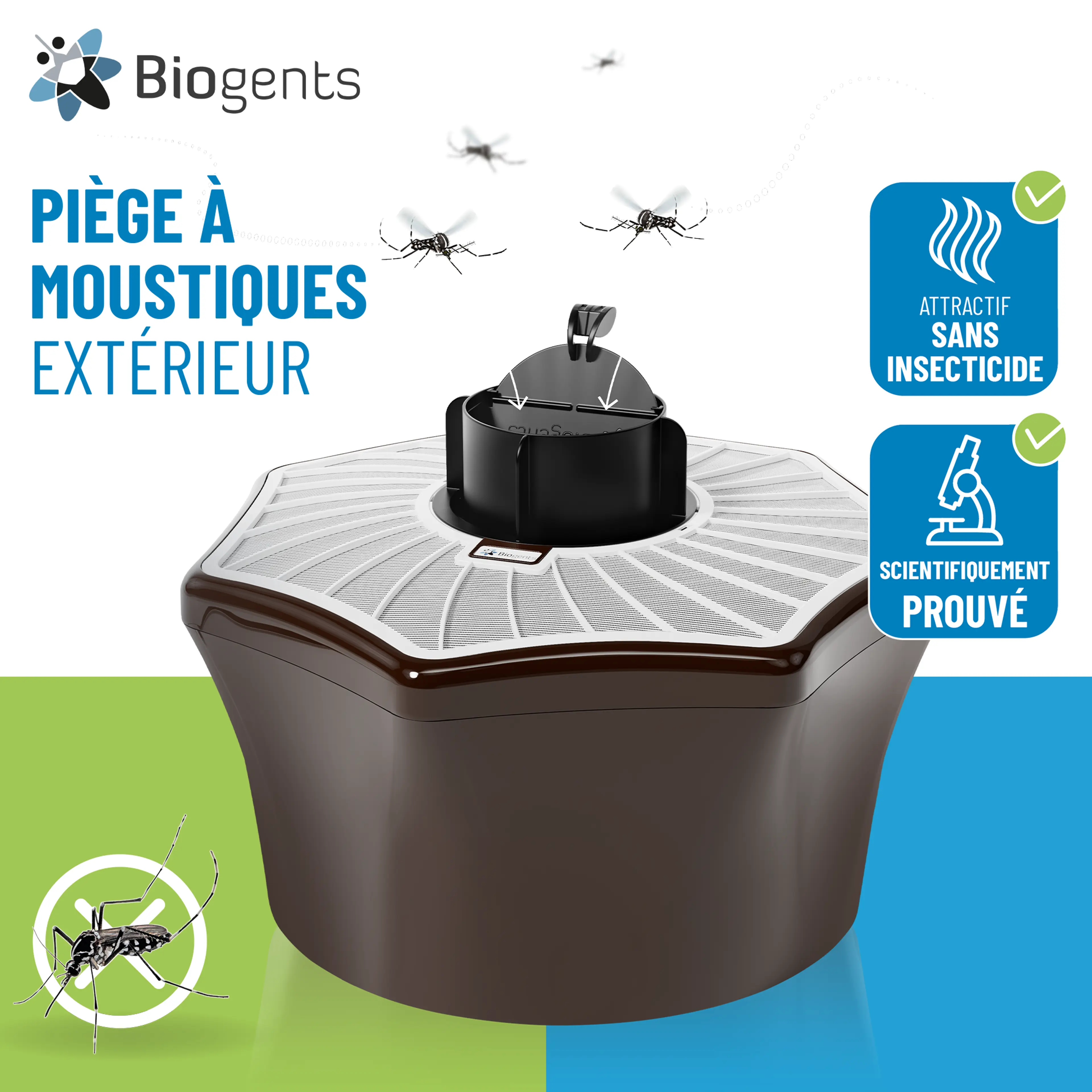 Pack pièges à moustique tigre 