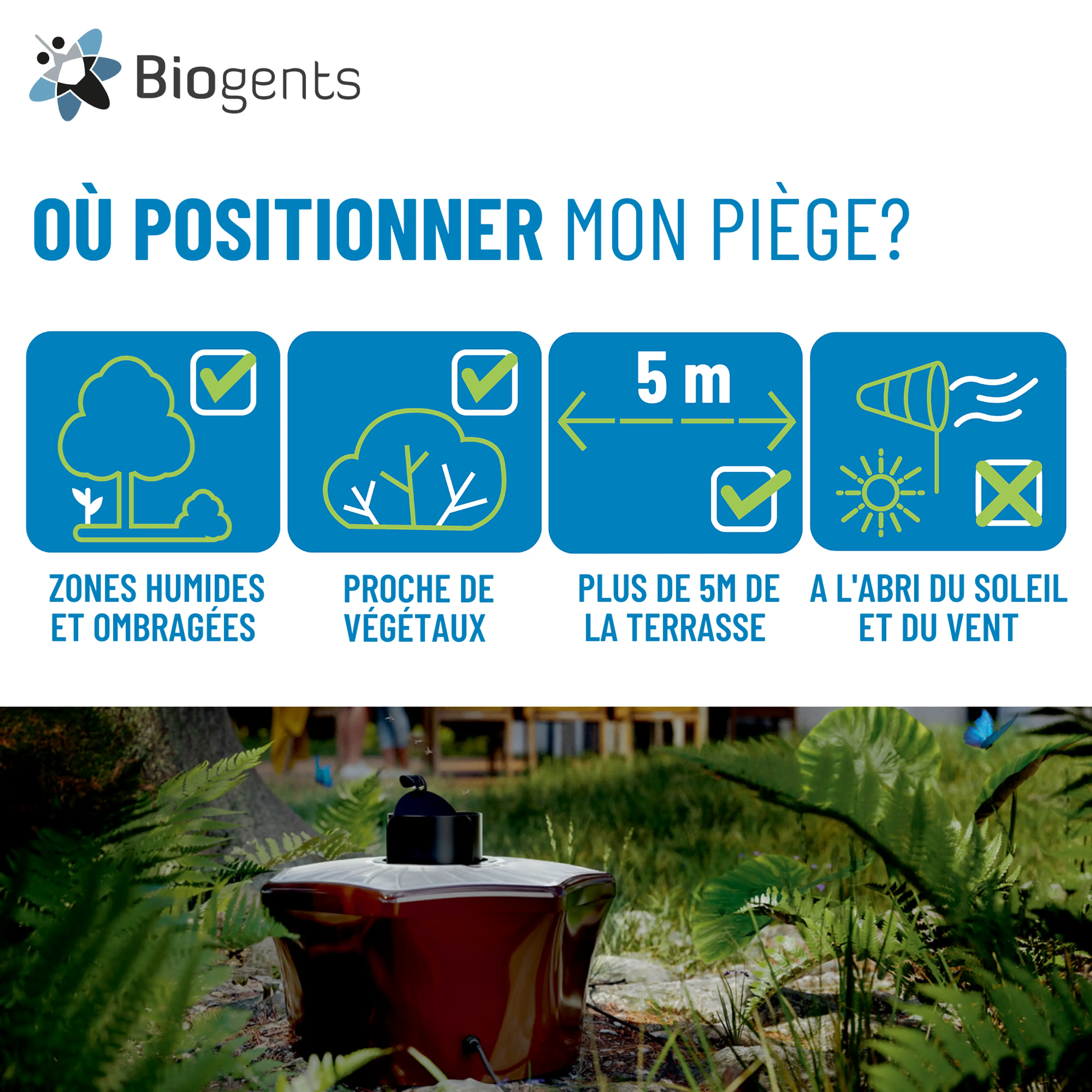 Pack pièges à moustique tigre 