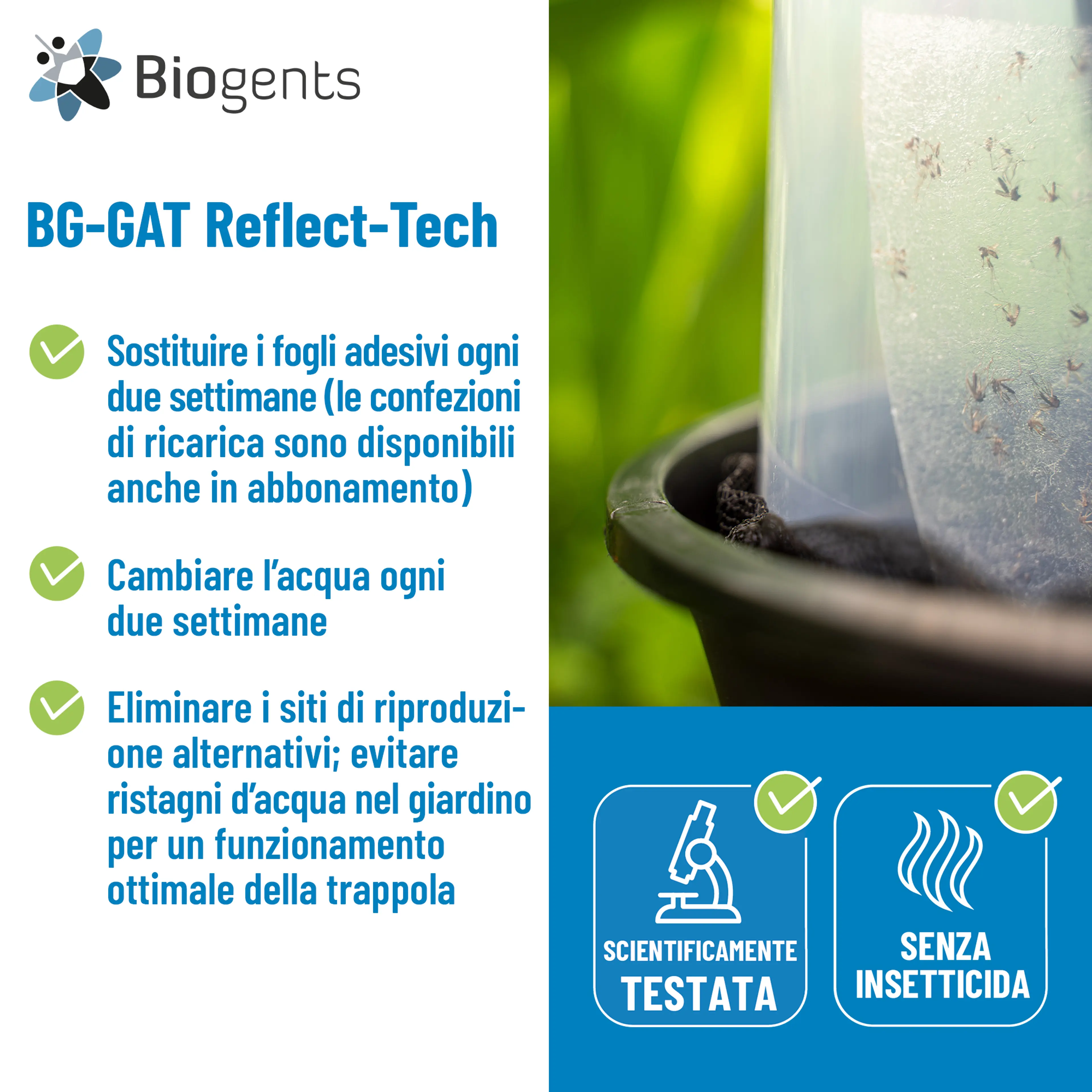 Set di due trappole per zanzare tigre: 2x BG-GAT 