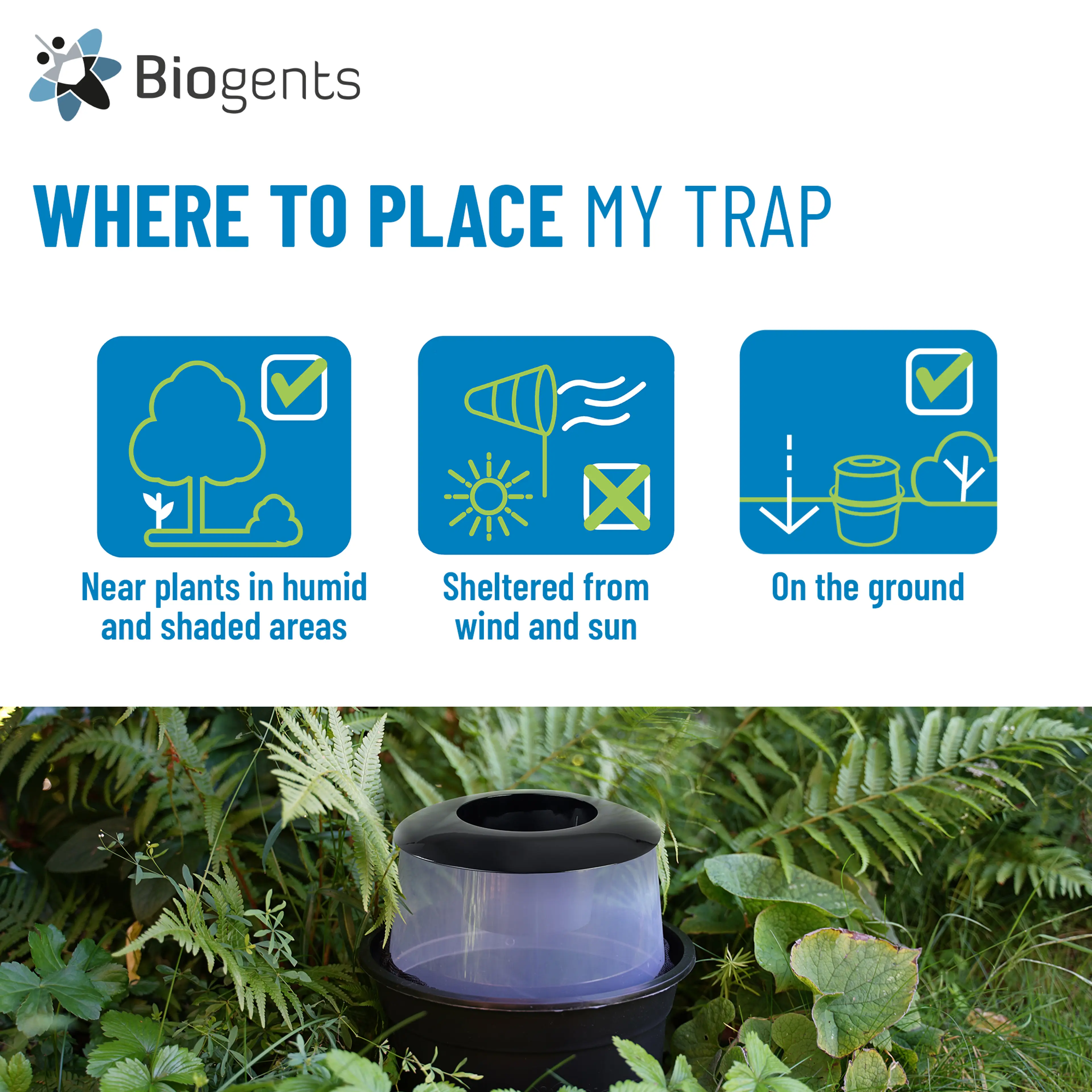 Tiger Mosquito Trap Pack 