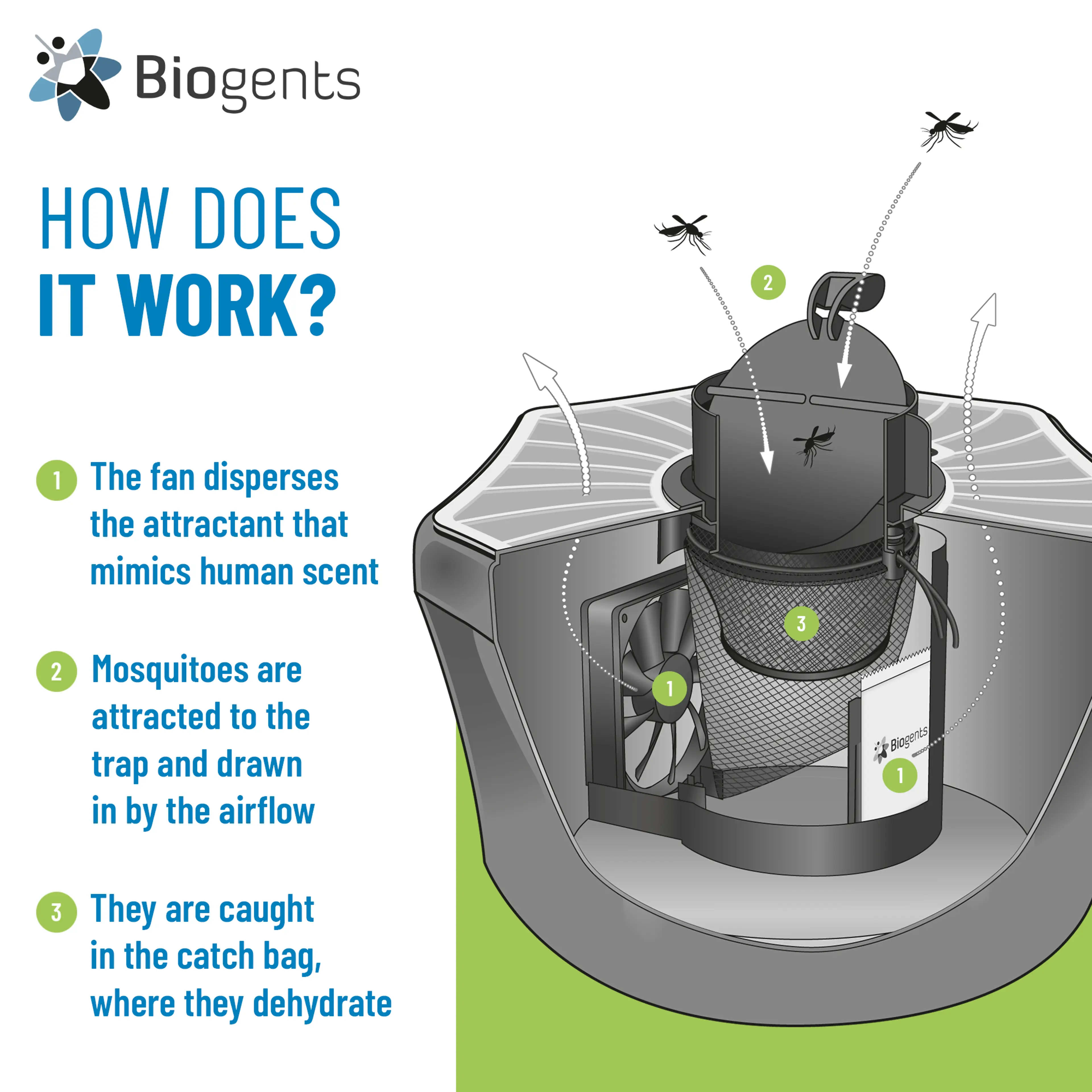 Tiger Mosquito Trap Pack 