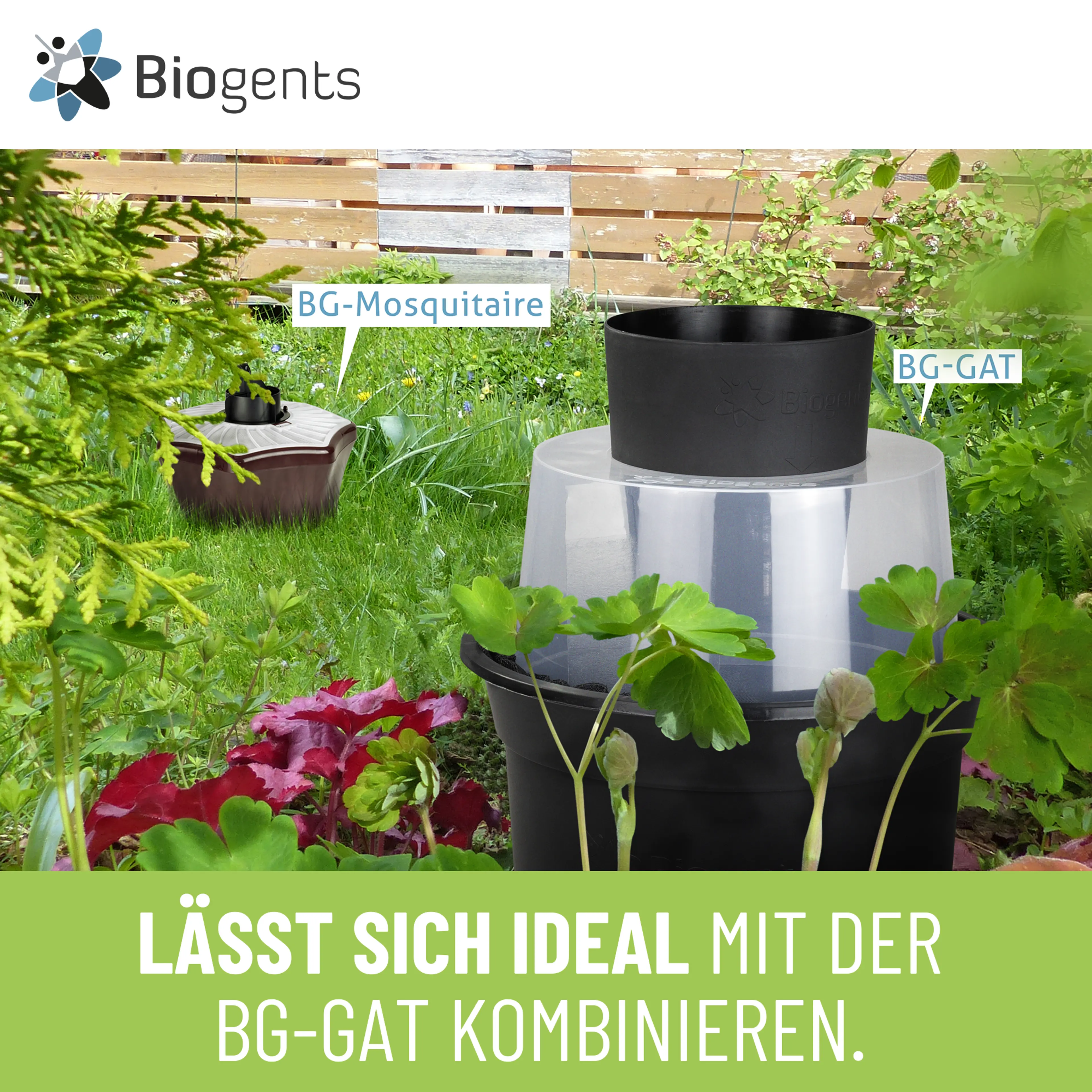 Mückenfalle für den Garten - BG-Mosquitaire