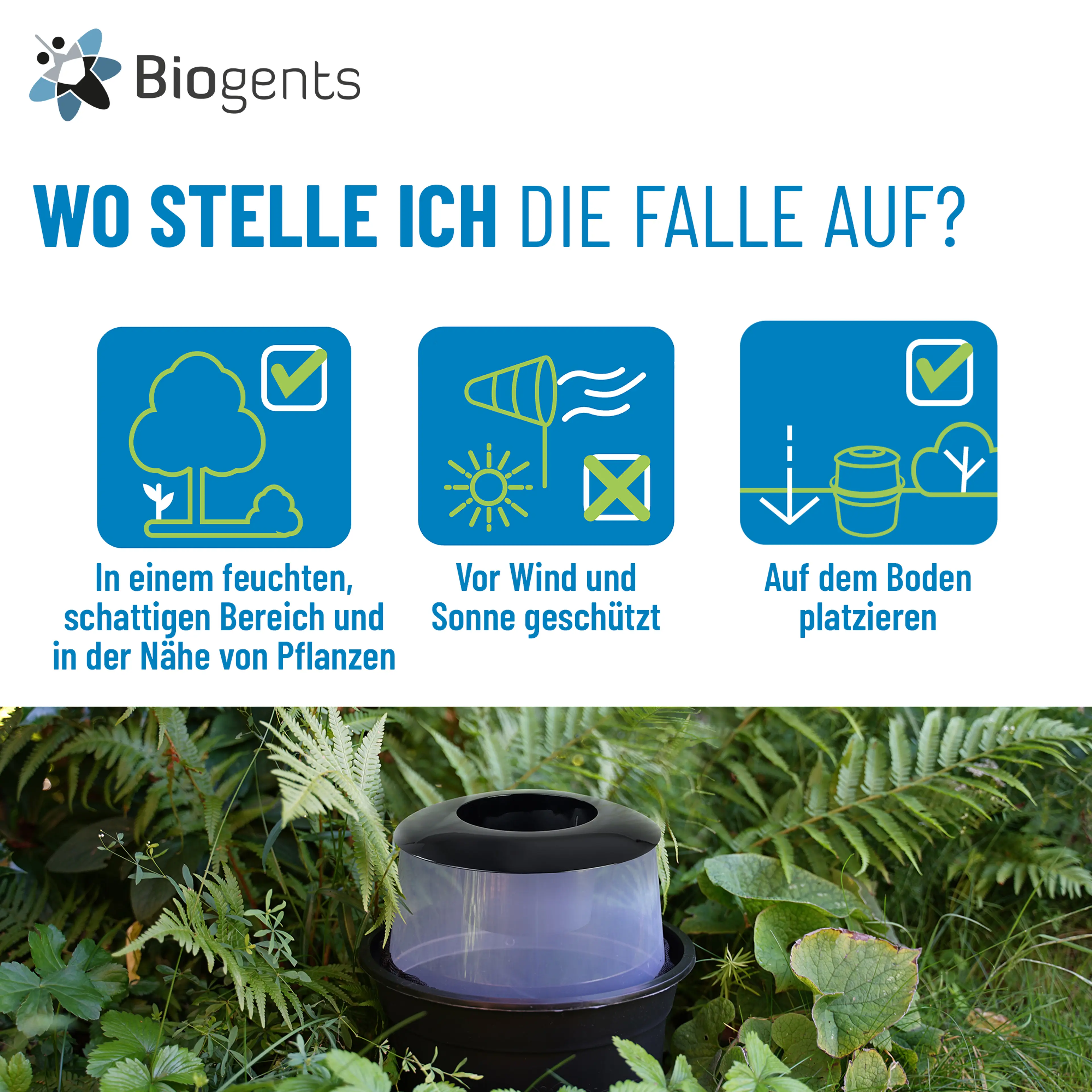 Nachbarschafts-Set Tigermückenfallen: 12x BG-GAT