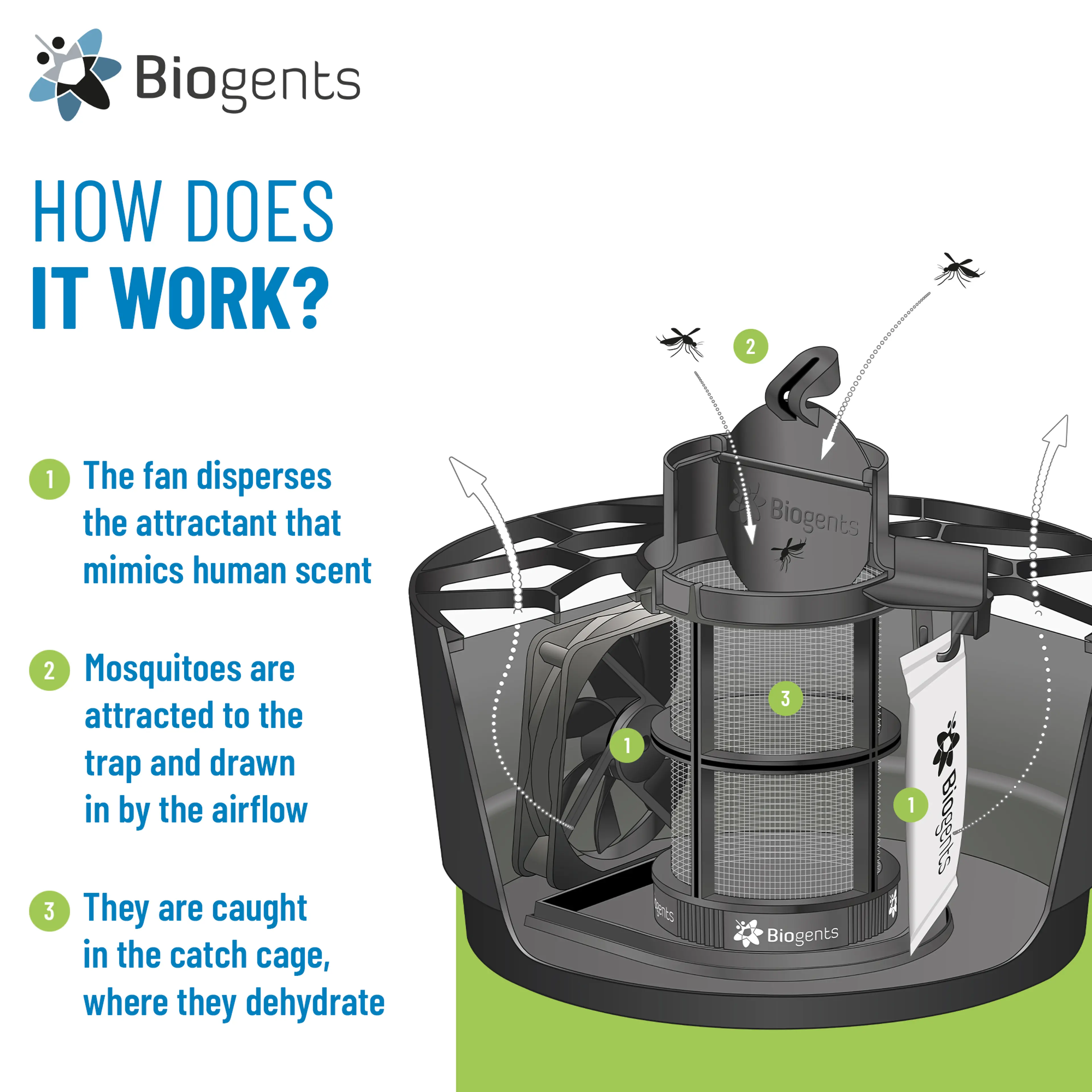 Basic Mosquito Trap: AERO TRAP