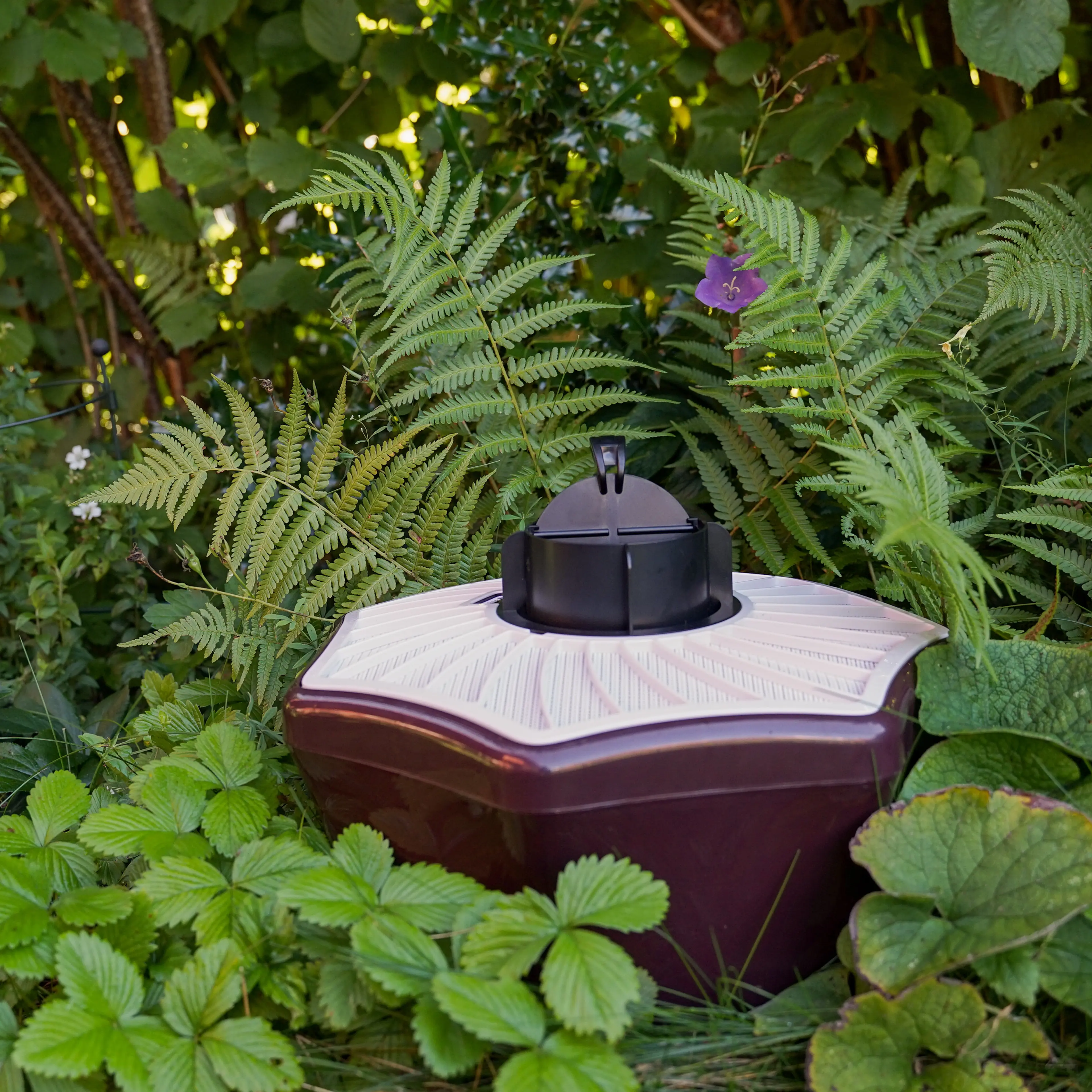 Tiger Mosquito Trap System