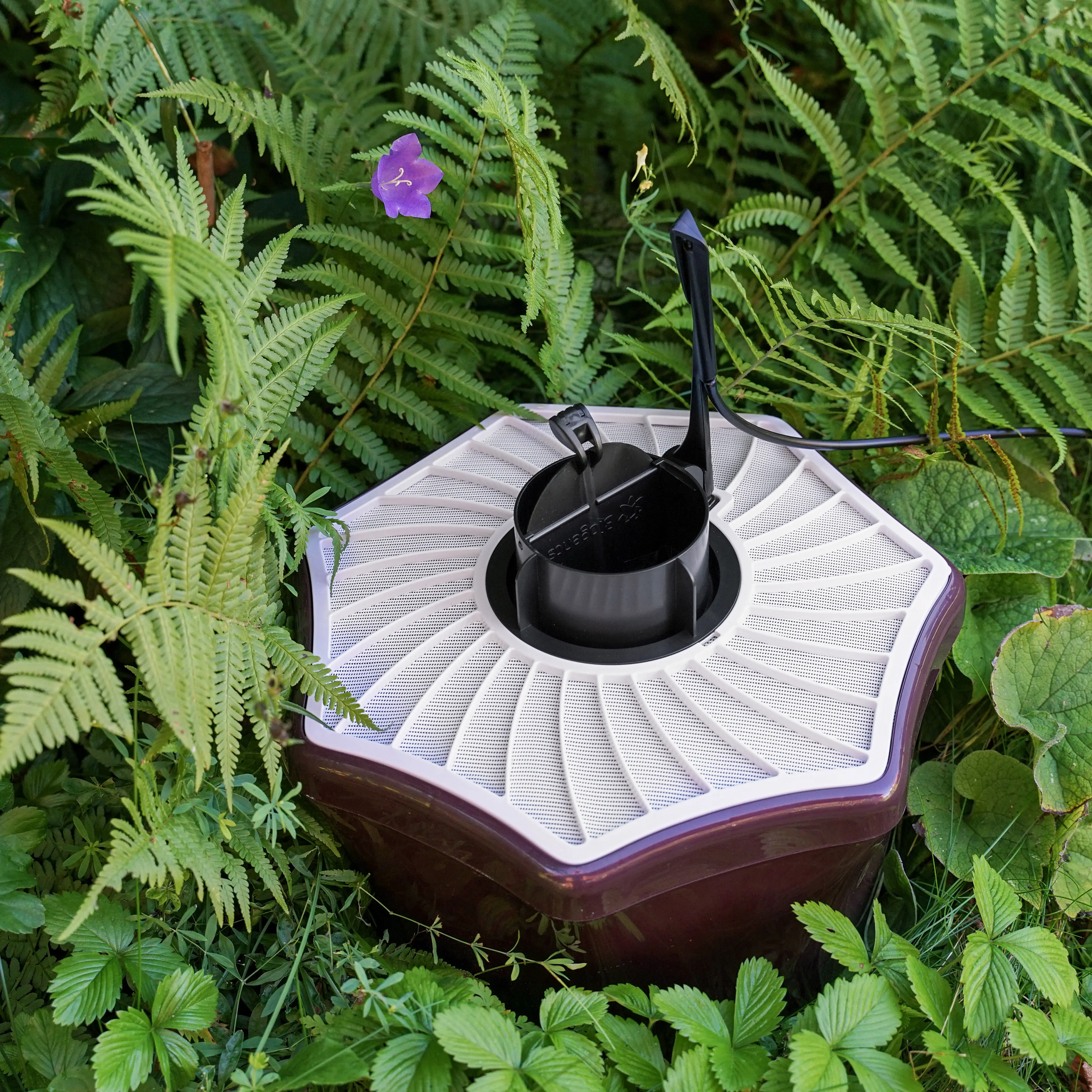 BGMosquitaire CO2 Outdoor Mosquito Trap Bundle against all Mosquitoes