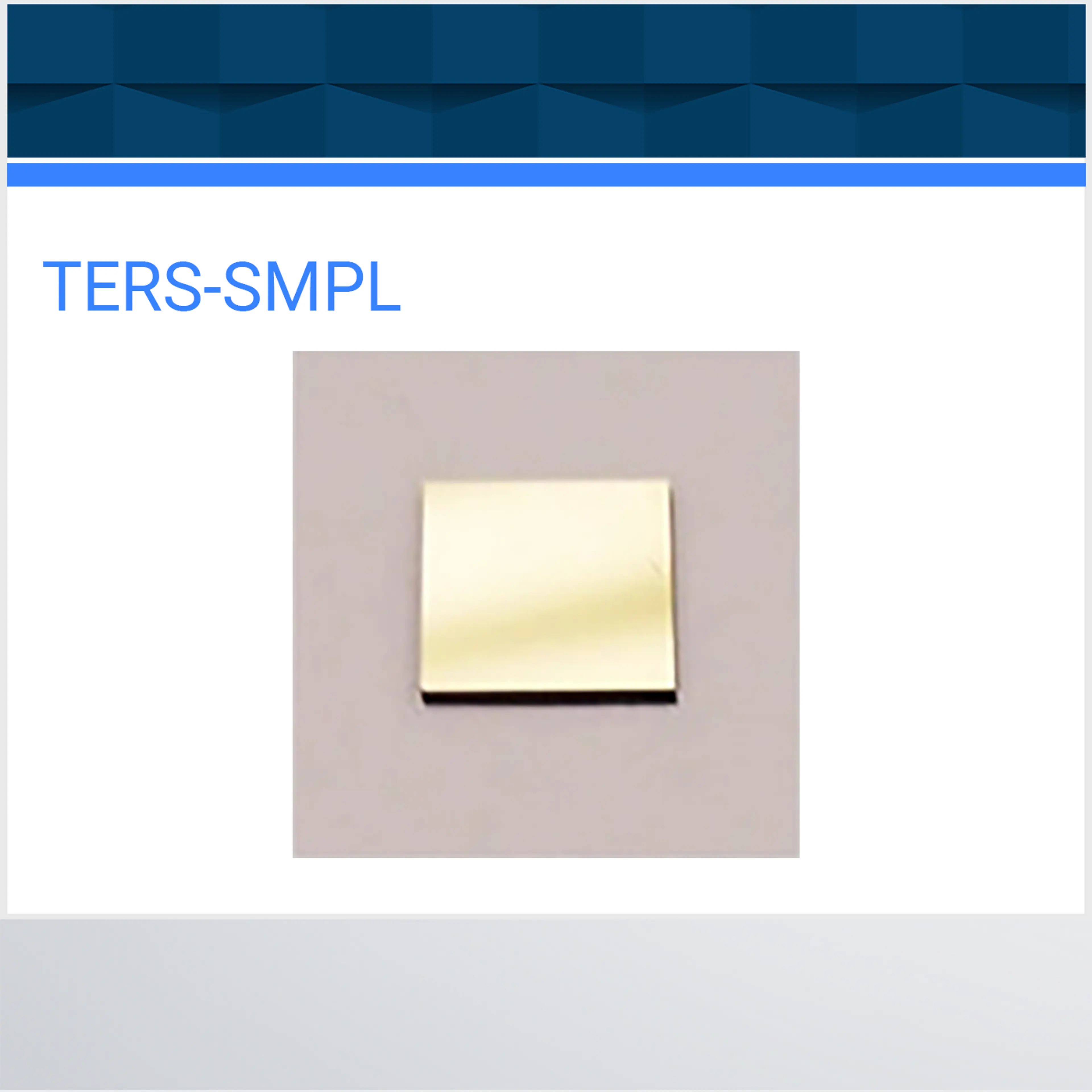 TERS-SMPL