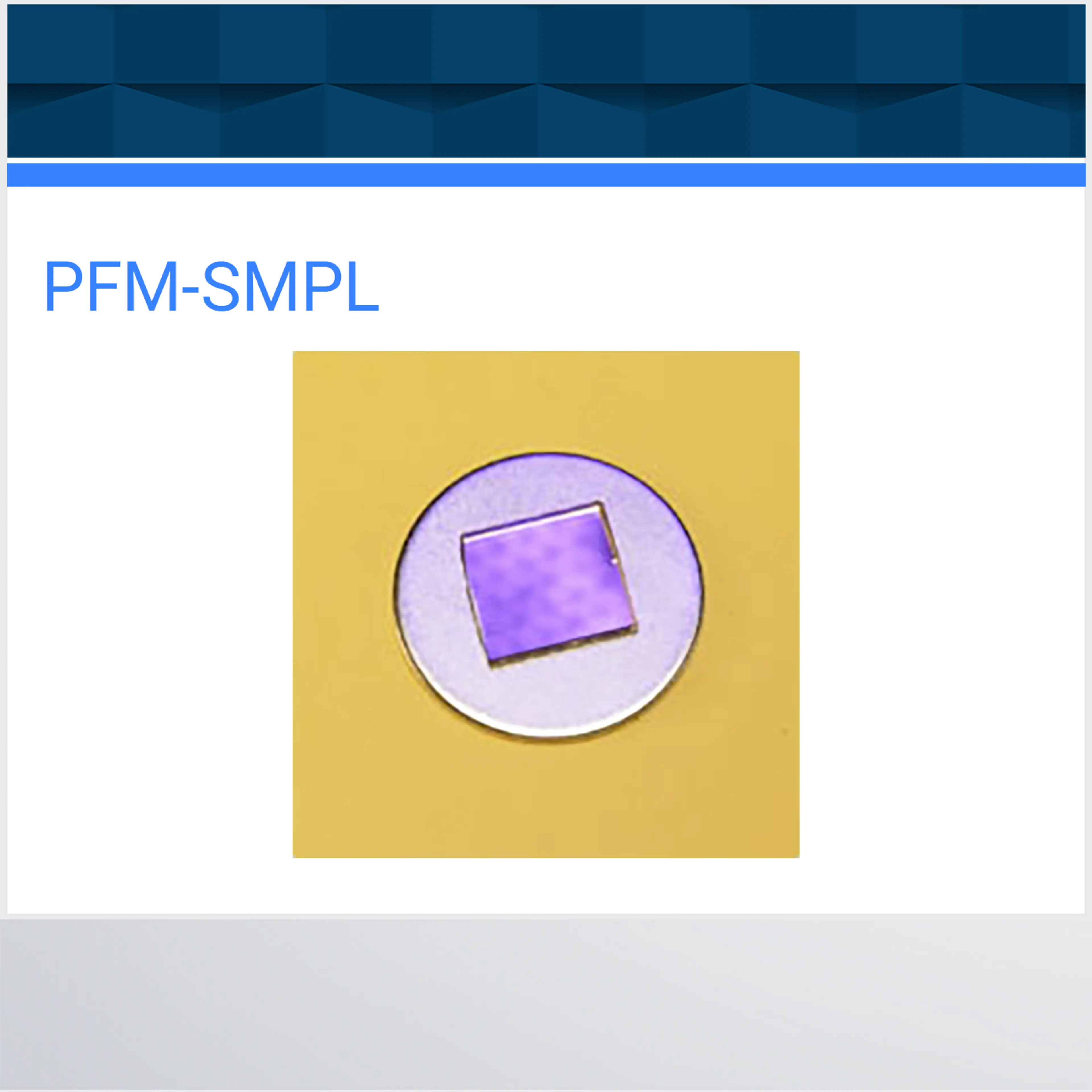 PFM-SMPL