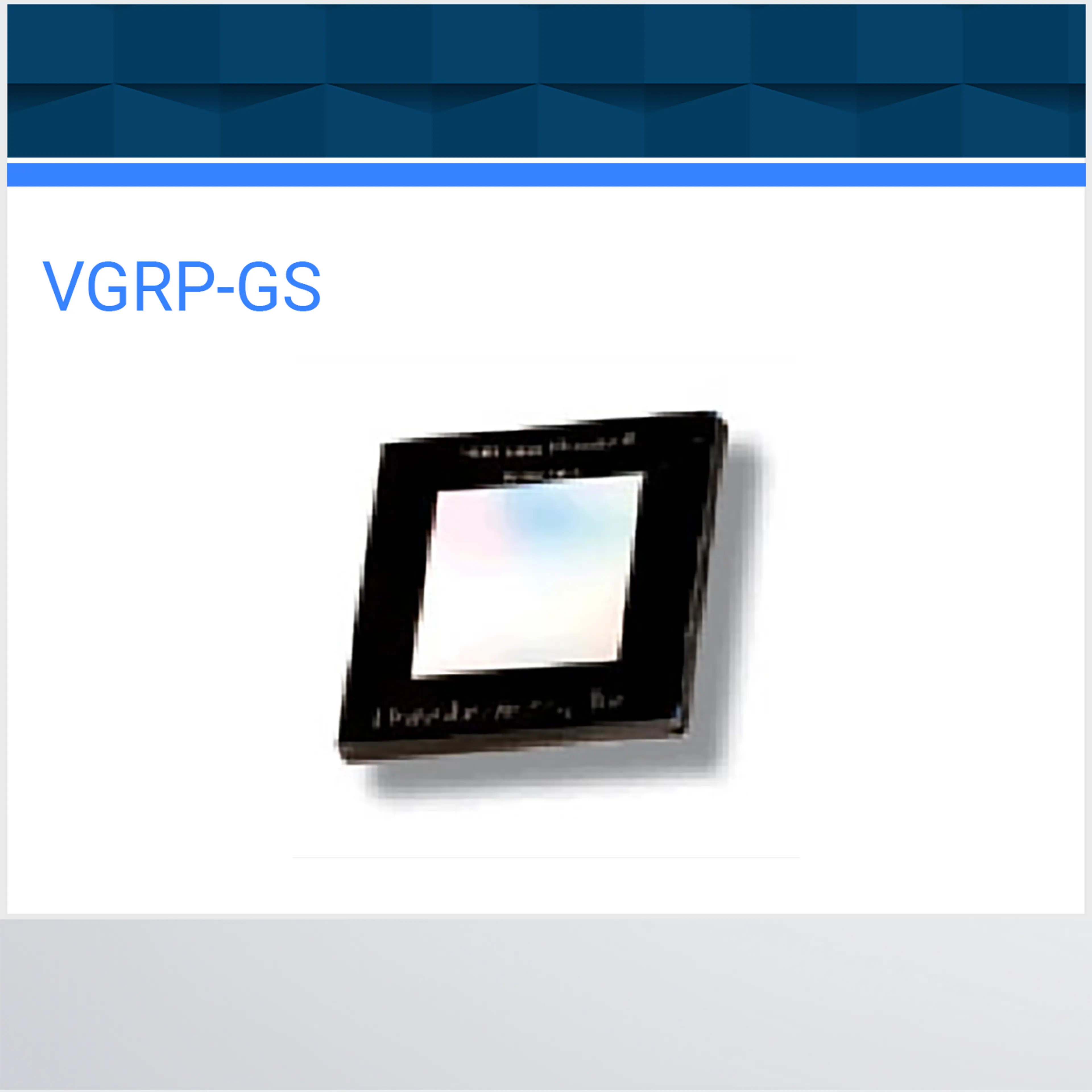 VGRP-GS