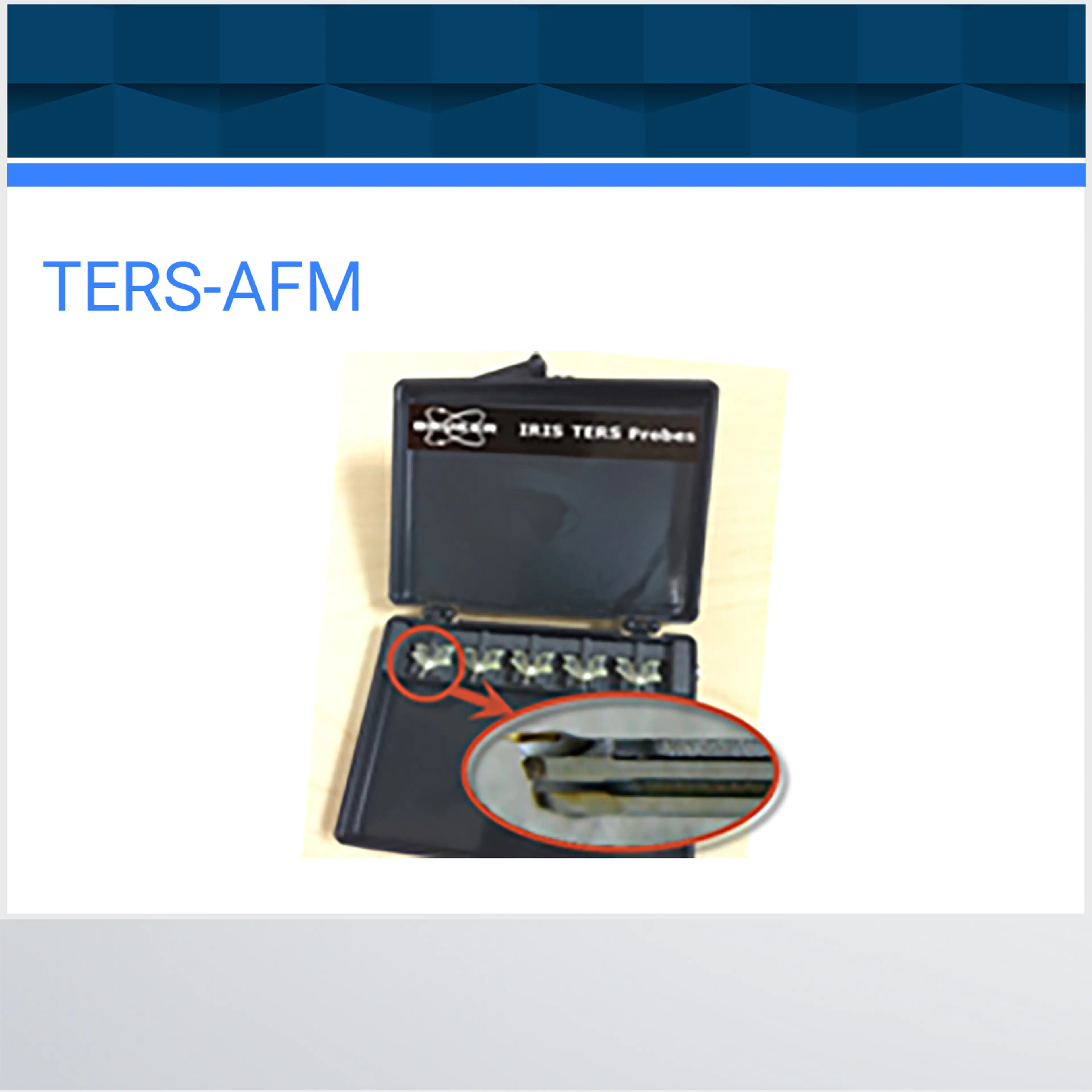 TERS-AFM