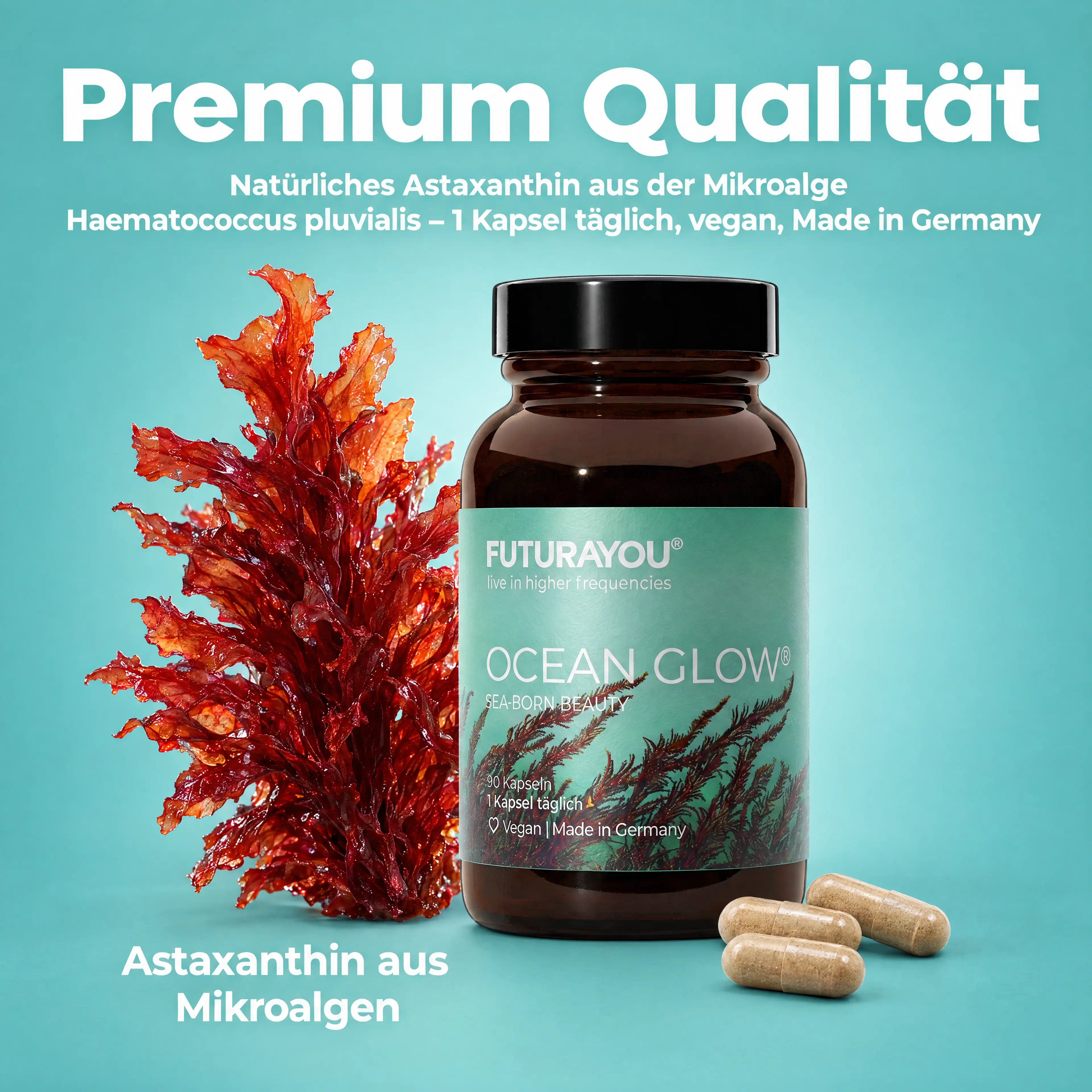 OCEAN GLOW®