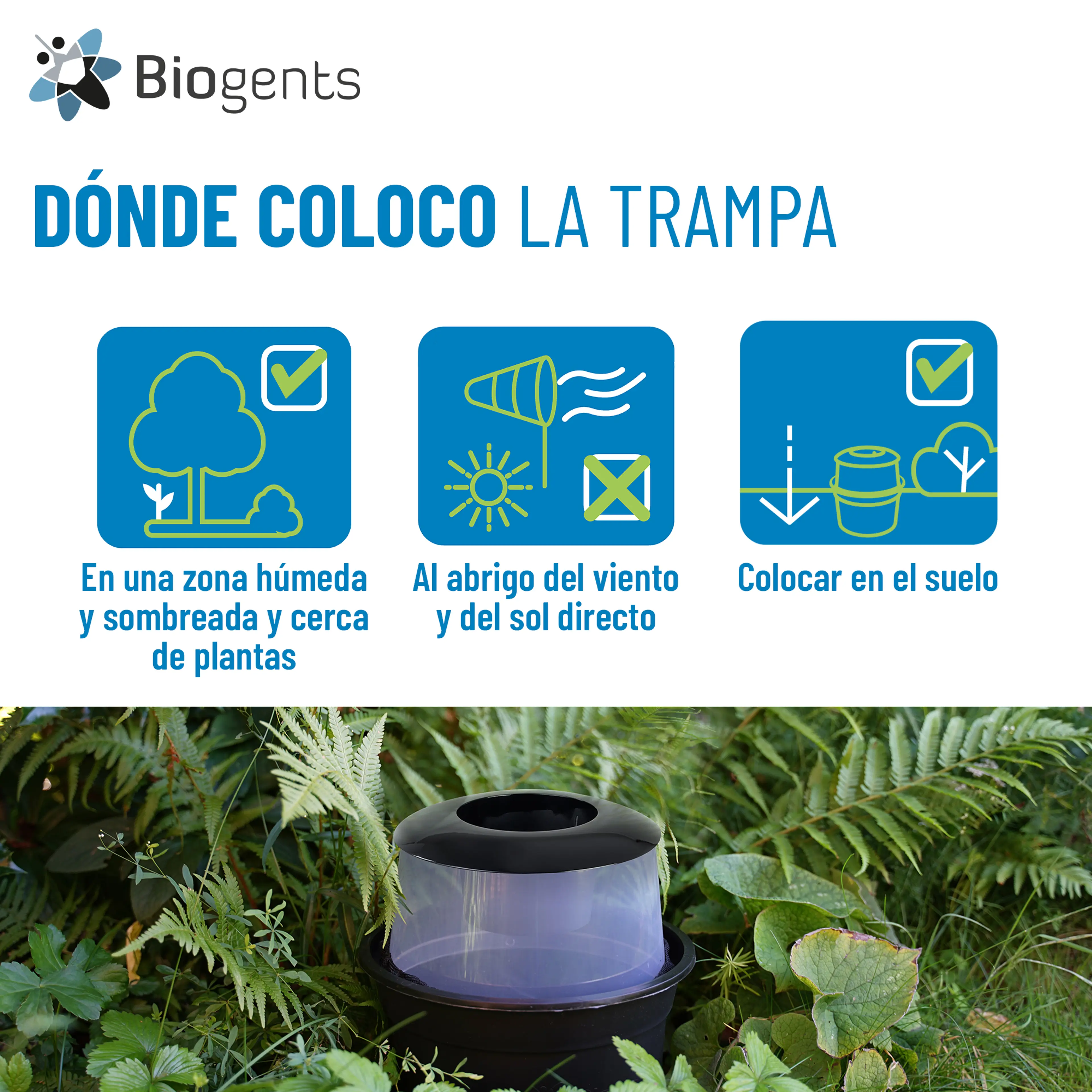Set básico de trampas para mosquitos tigre: AERO TRAP + 2x BG-GAT