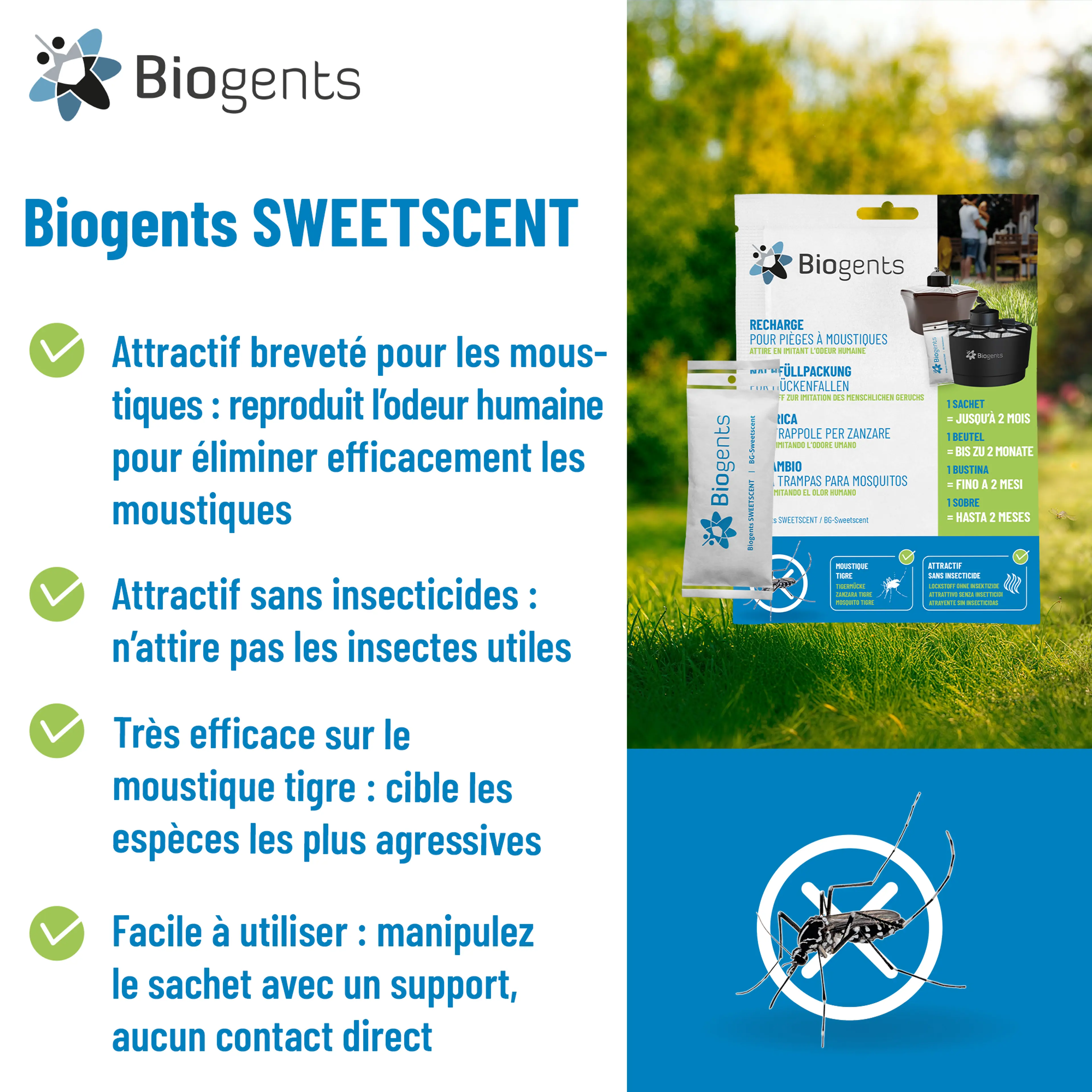 Pack simple attractif pour le piège AERO TRAP