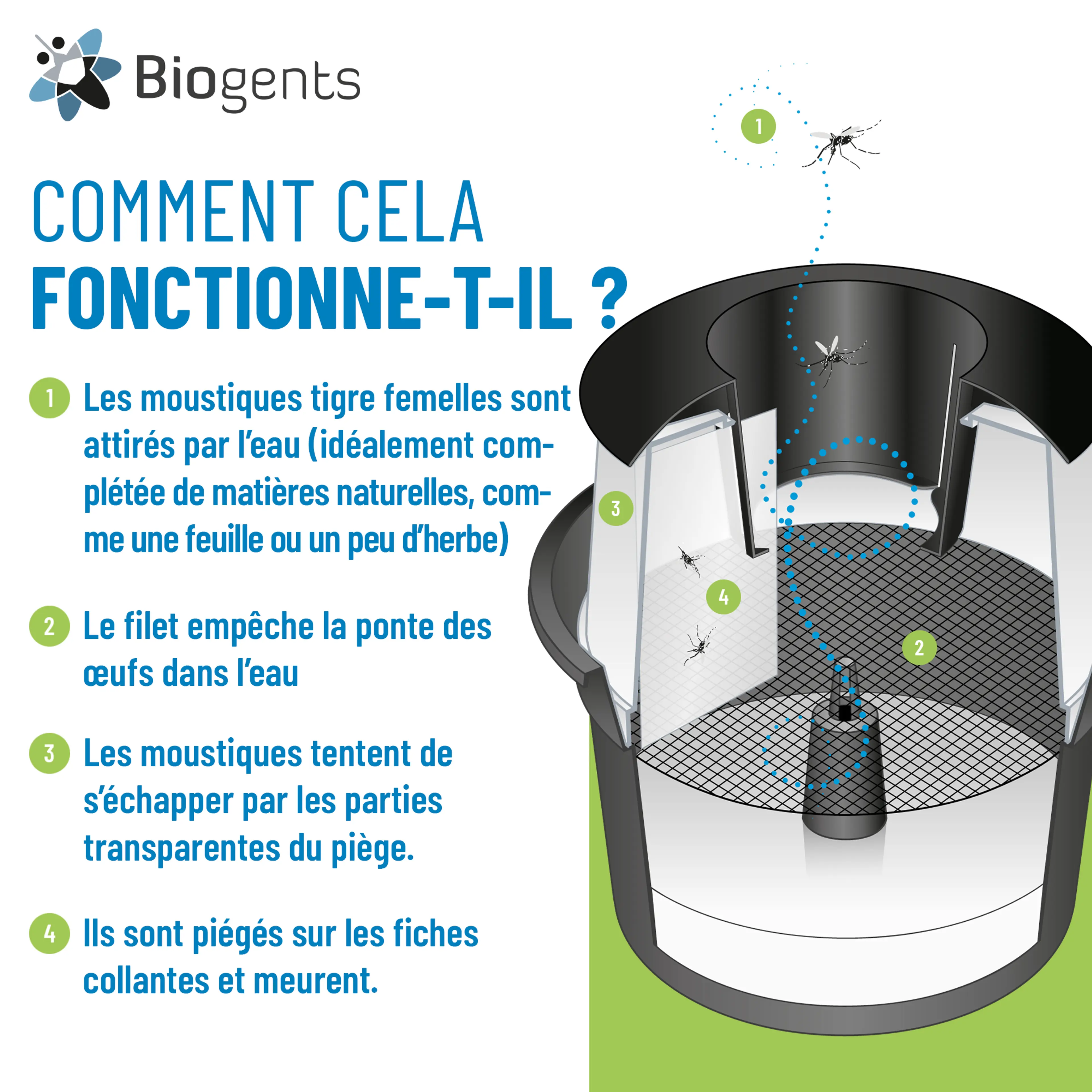 Set complet de pièges au CO2 et de pièges à moustiques tigre : AERO TRAP PLUS + 2x BG-GAT