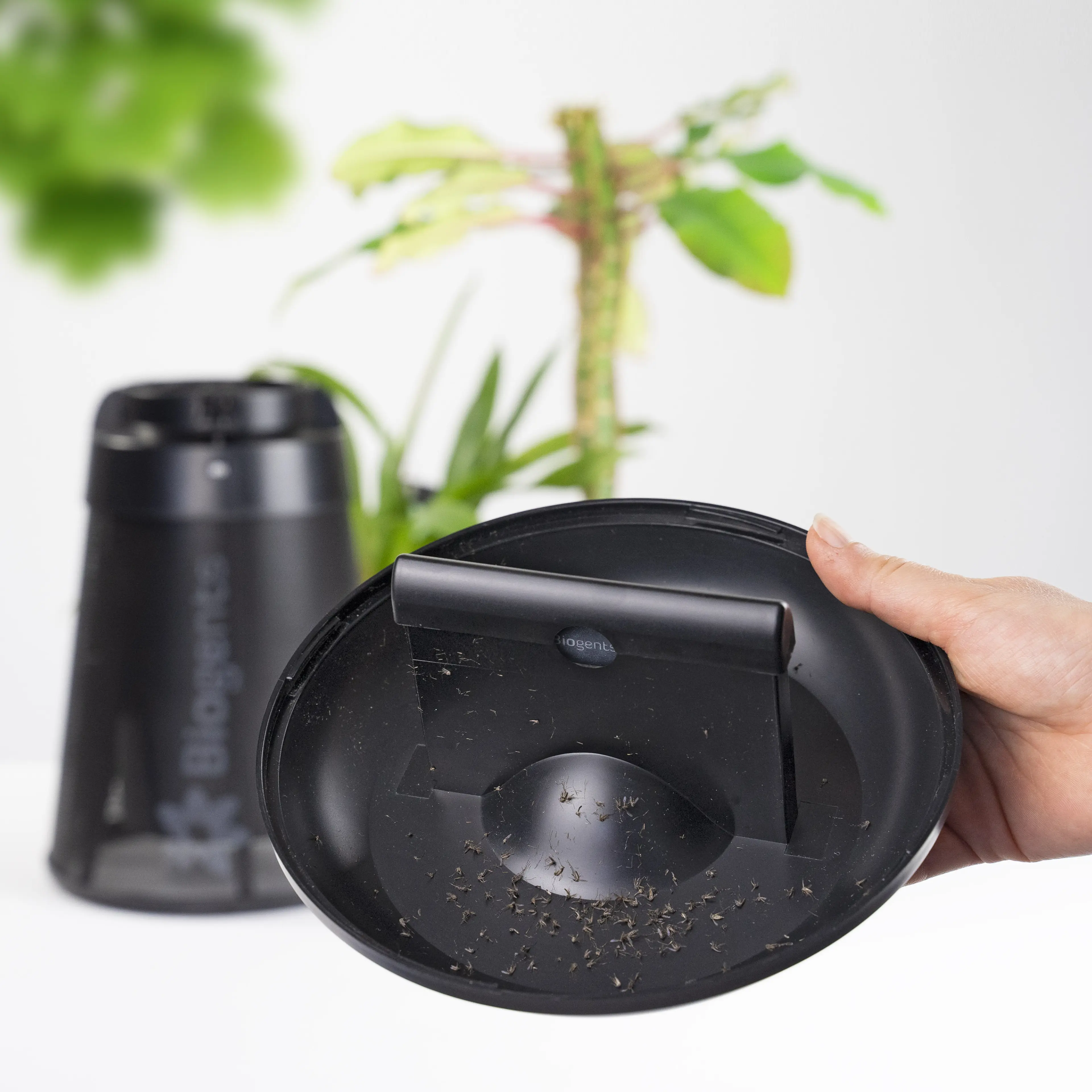 Indoor Mosquito Trap - BG-Home