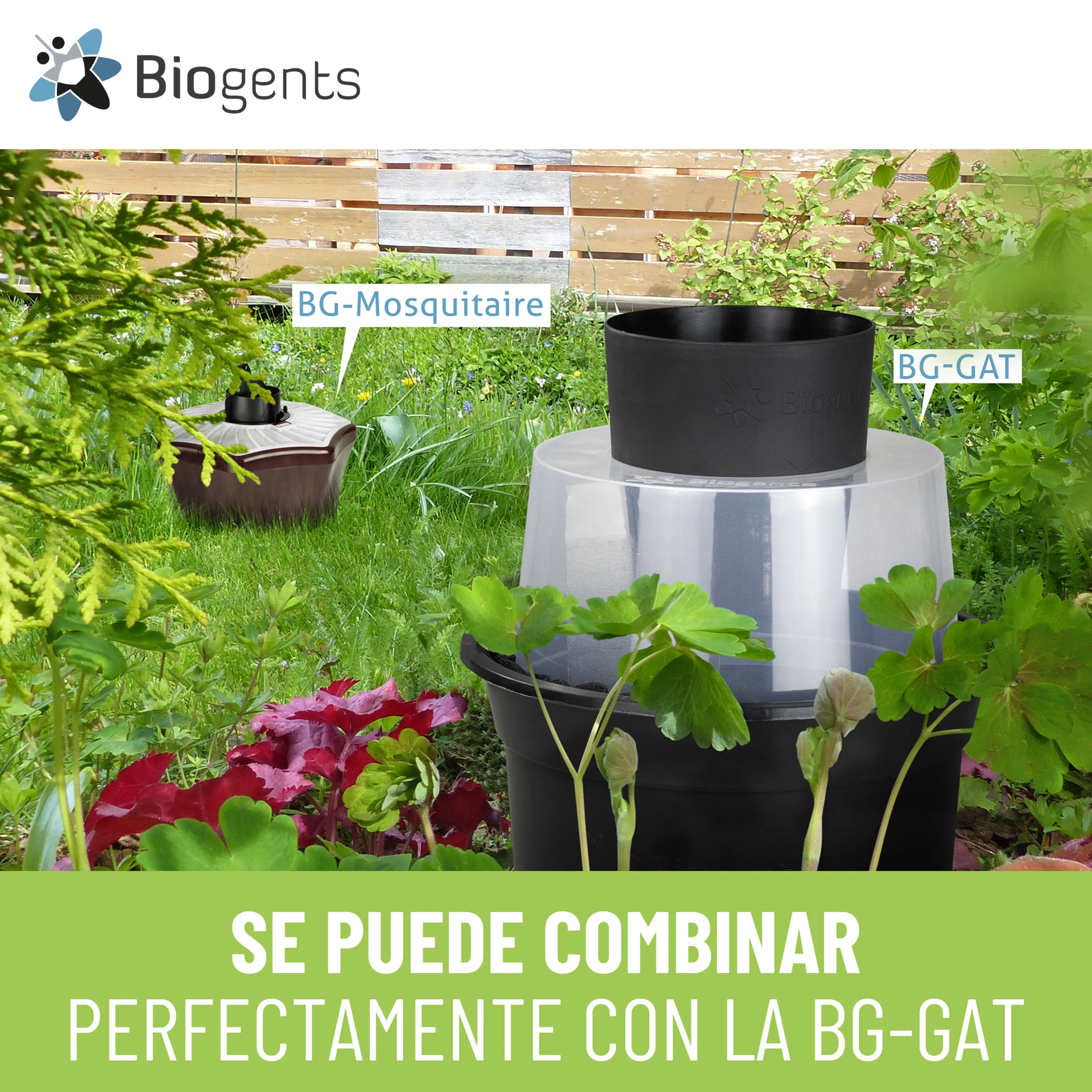 Trampa para mosquitos para exteriores - BG-Mosquitaire