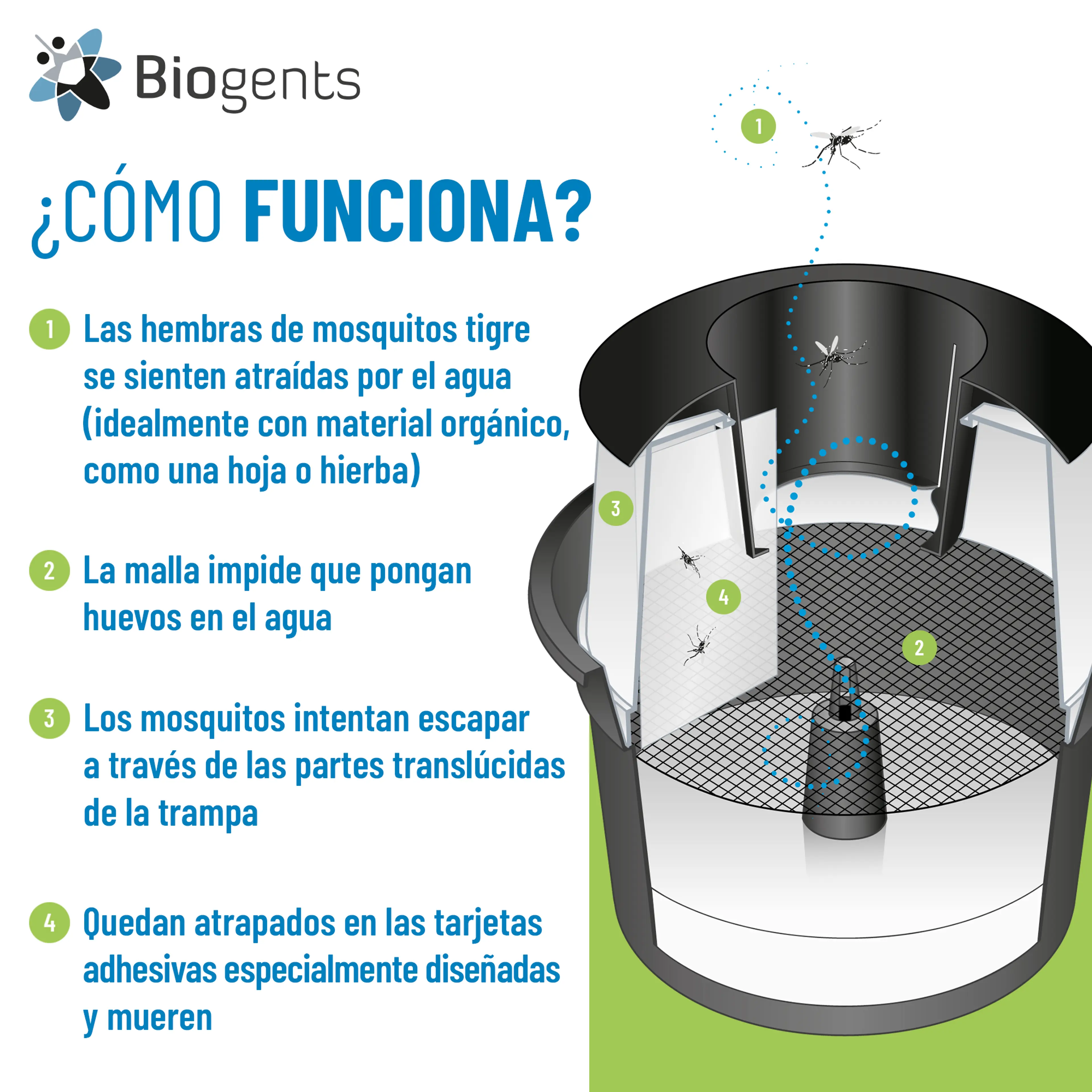 Set completo de trampas de CO2 y para mosquitos tigre: AERO TRAP PLUS + 2x BG-GAT