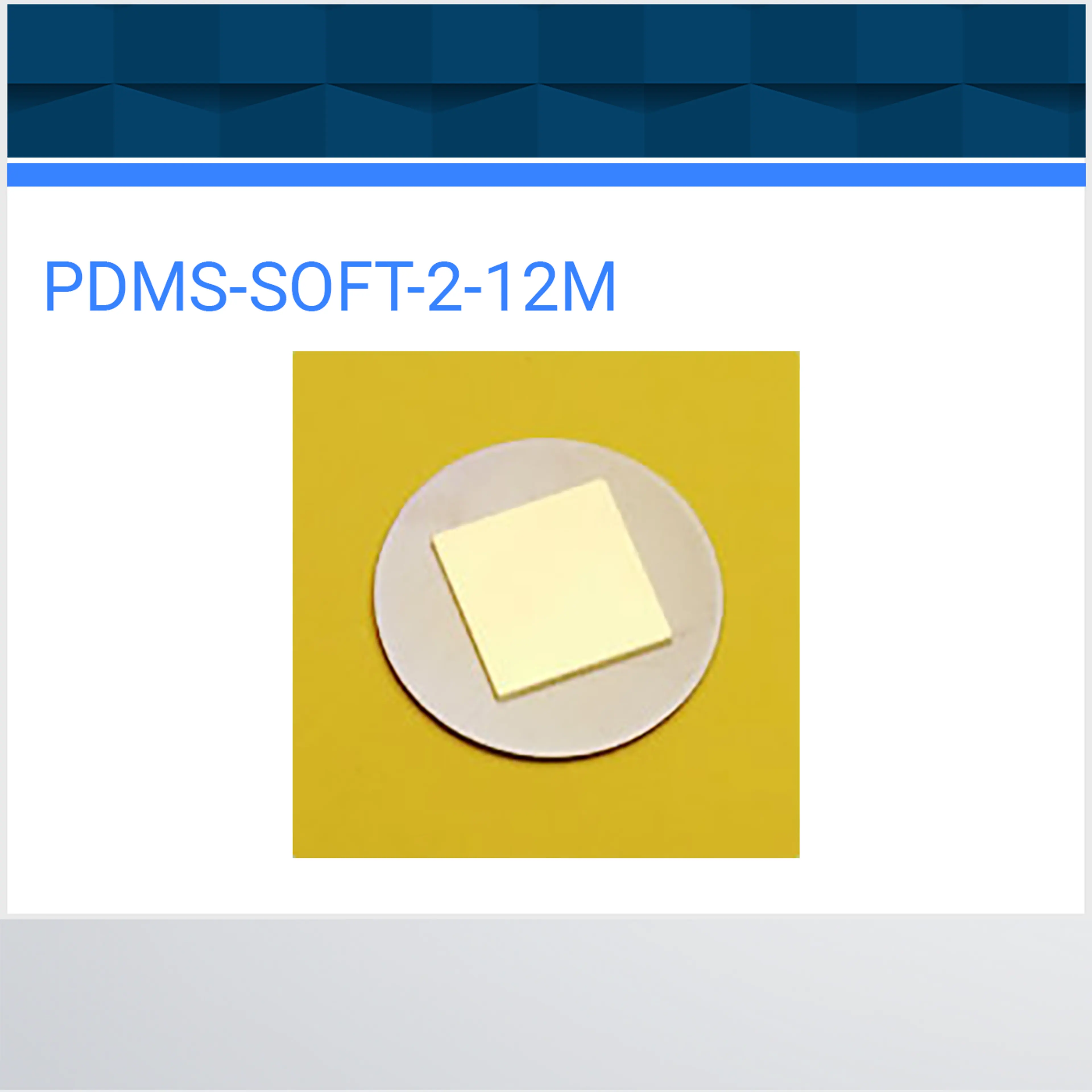 PDMS-SOFT-2-12M