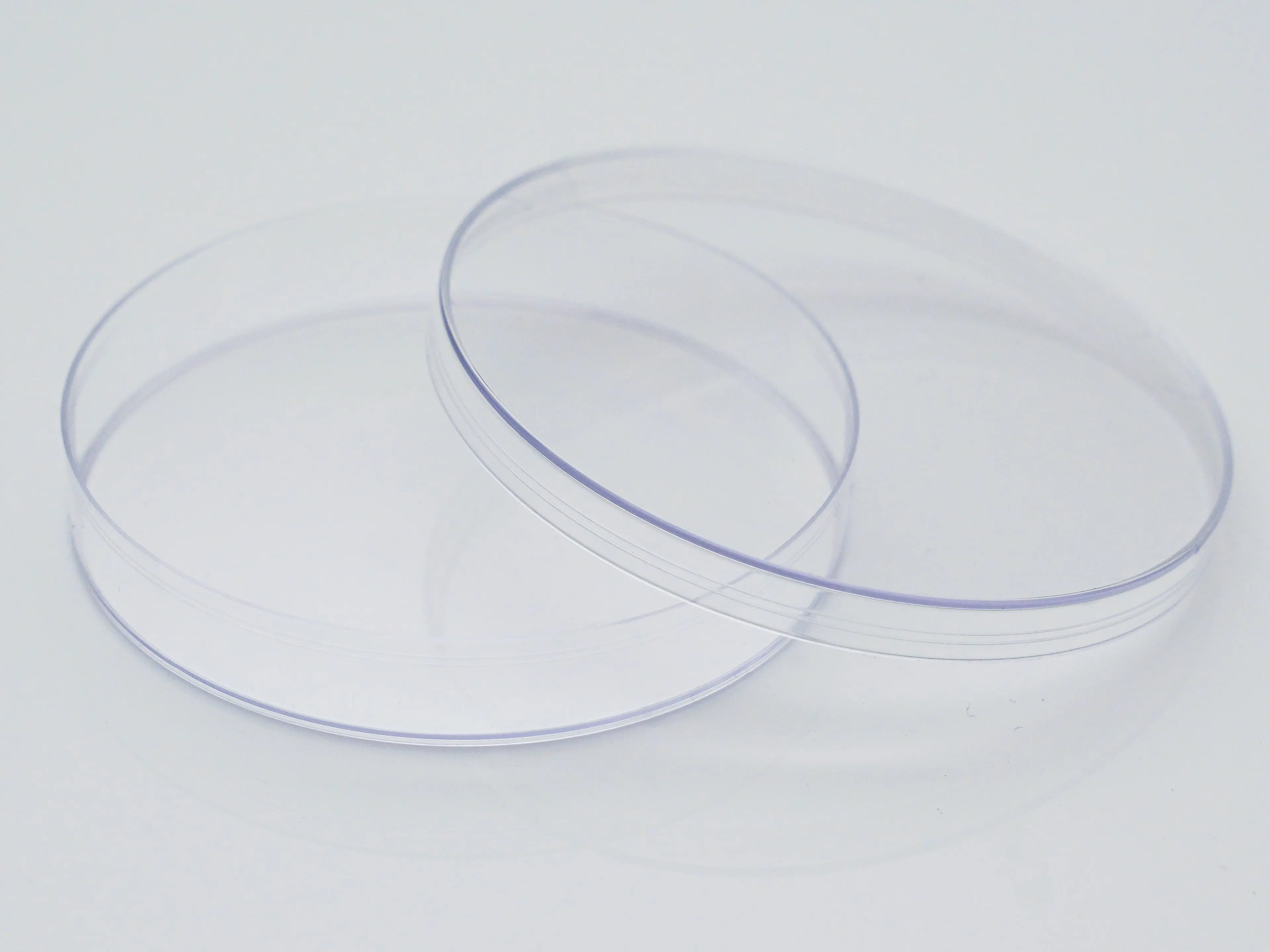 IN462-01: Petri dishes (polystyrene), 90mm diameter, 480 pieces