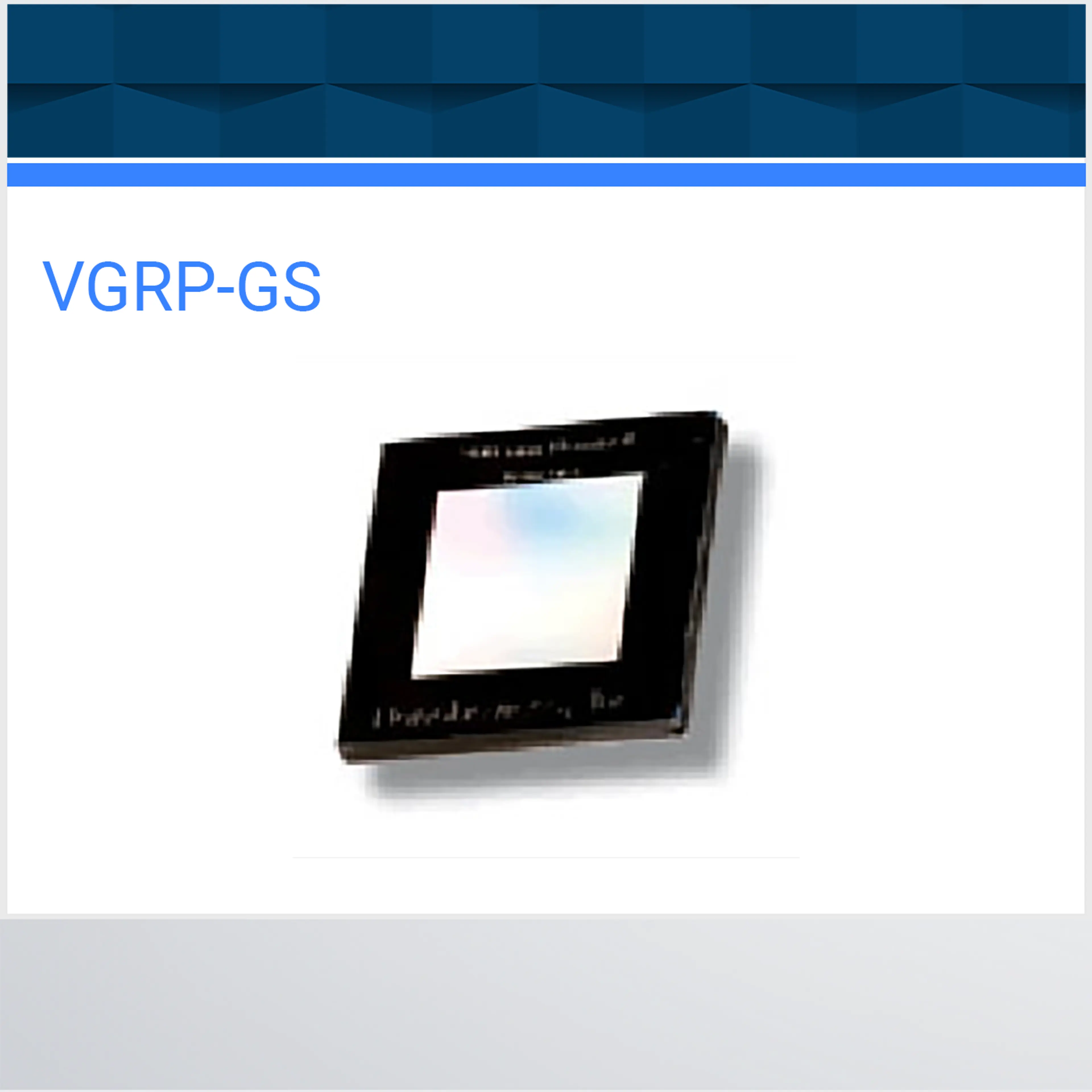 VGRP-GS