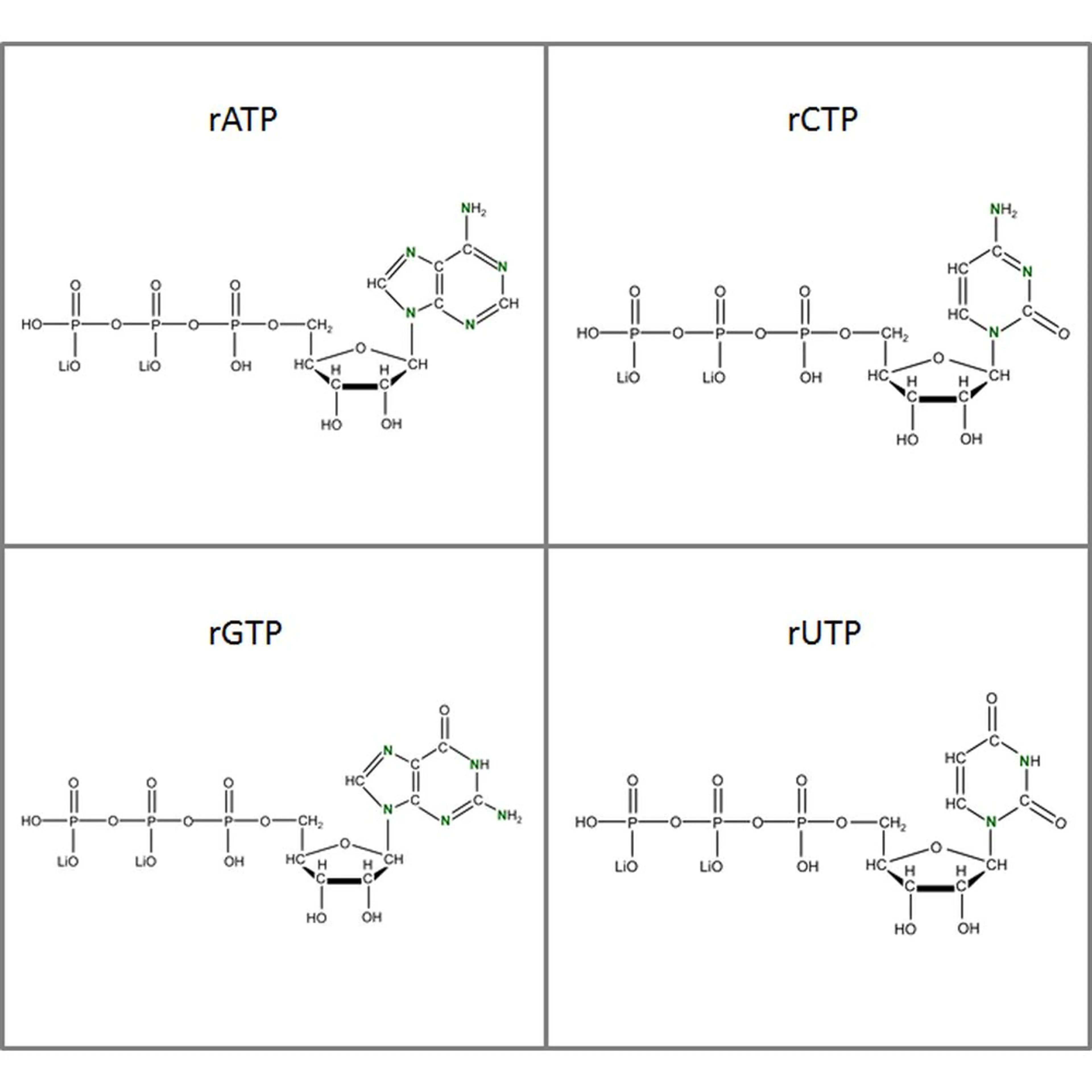 Set of 4 ribonucleoside 5′-triphosphates