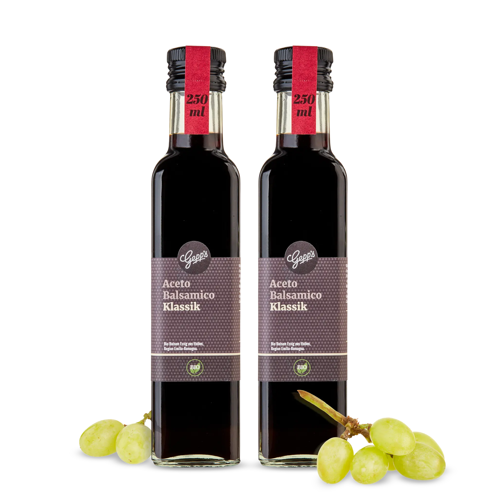 10283-essigspezialitaet_duo_2_x_balsamico_klassik_2026-08_1