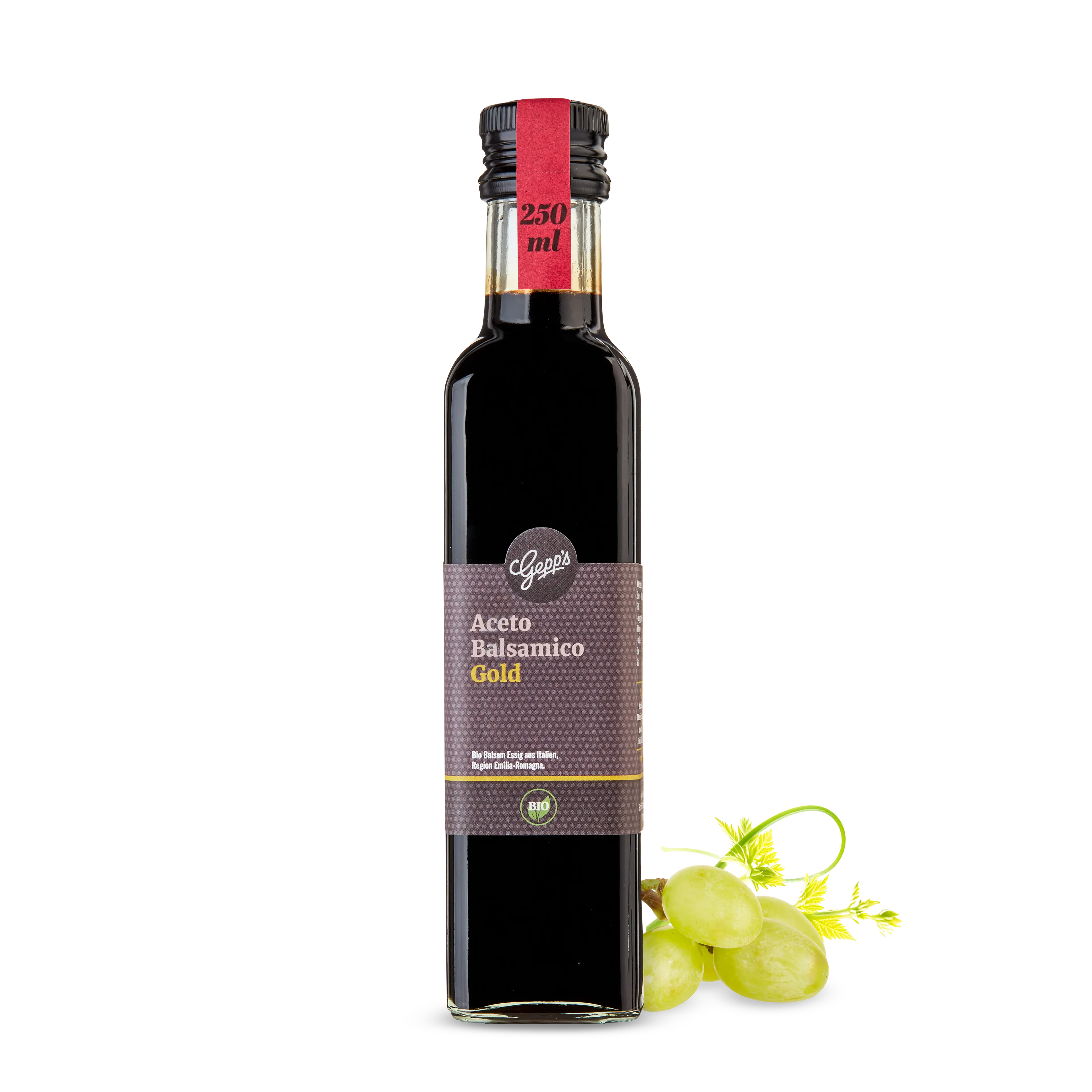 10079-bio_aceto_balsamico_gold_250ml_2026-08_1