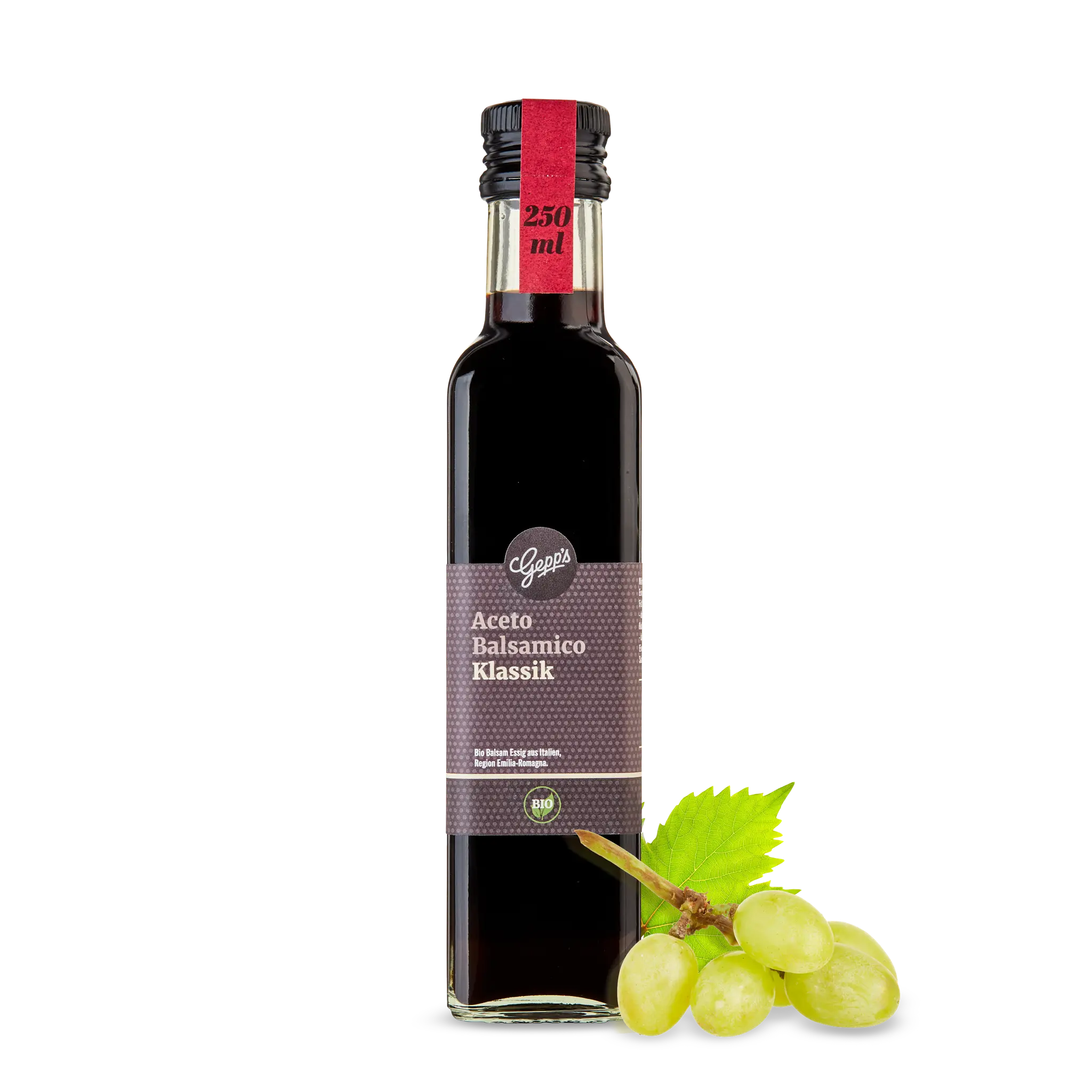 10069-bio_aceto_balsamico_klassik_250ml_2026-08_1
