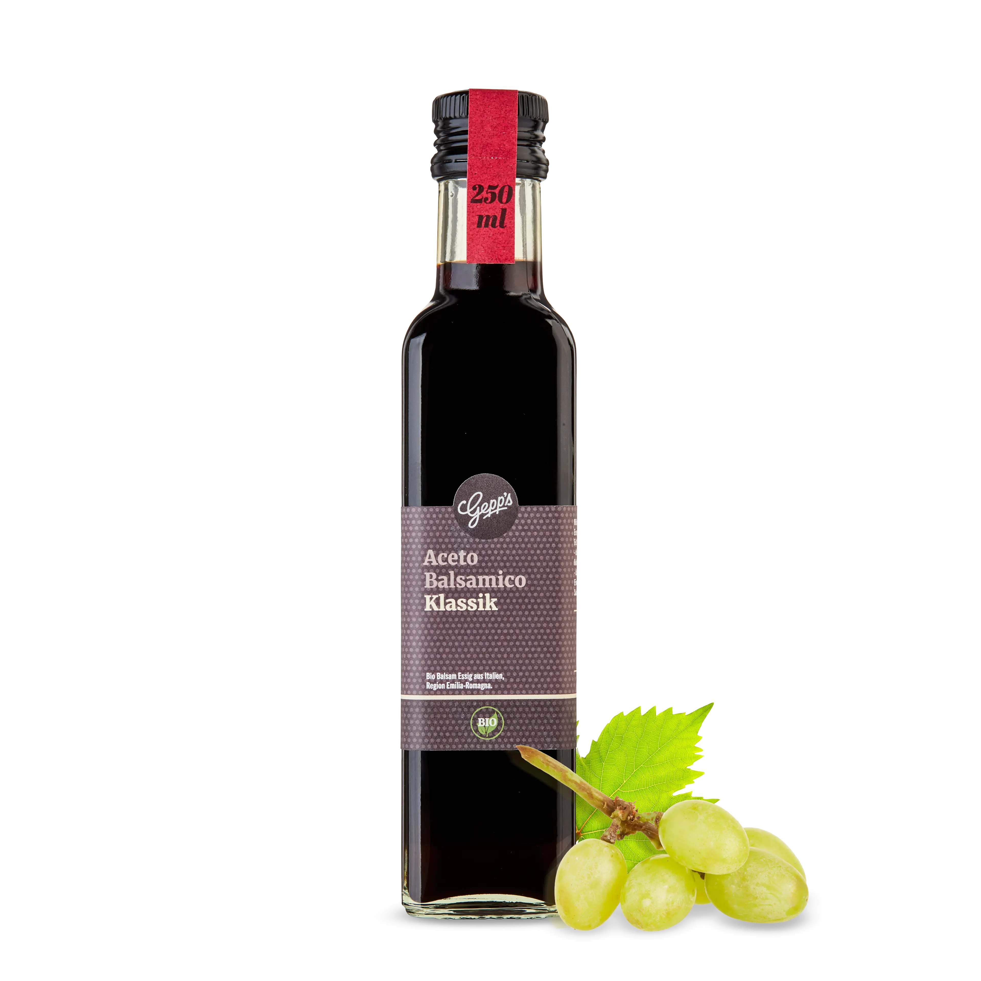 10069-bio_aceto_balsamico_klassik_250ml_2026-08_1