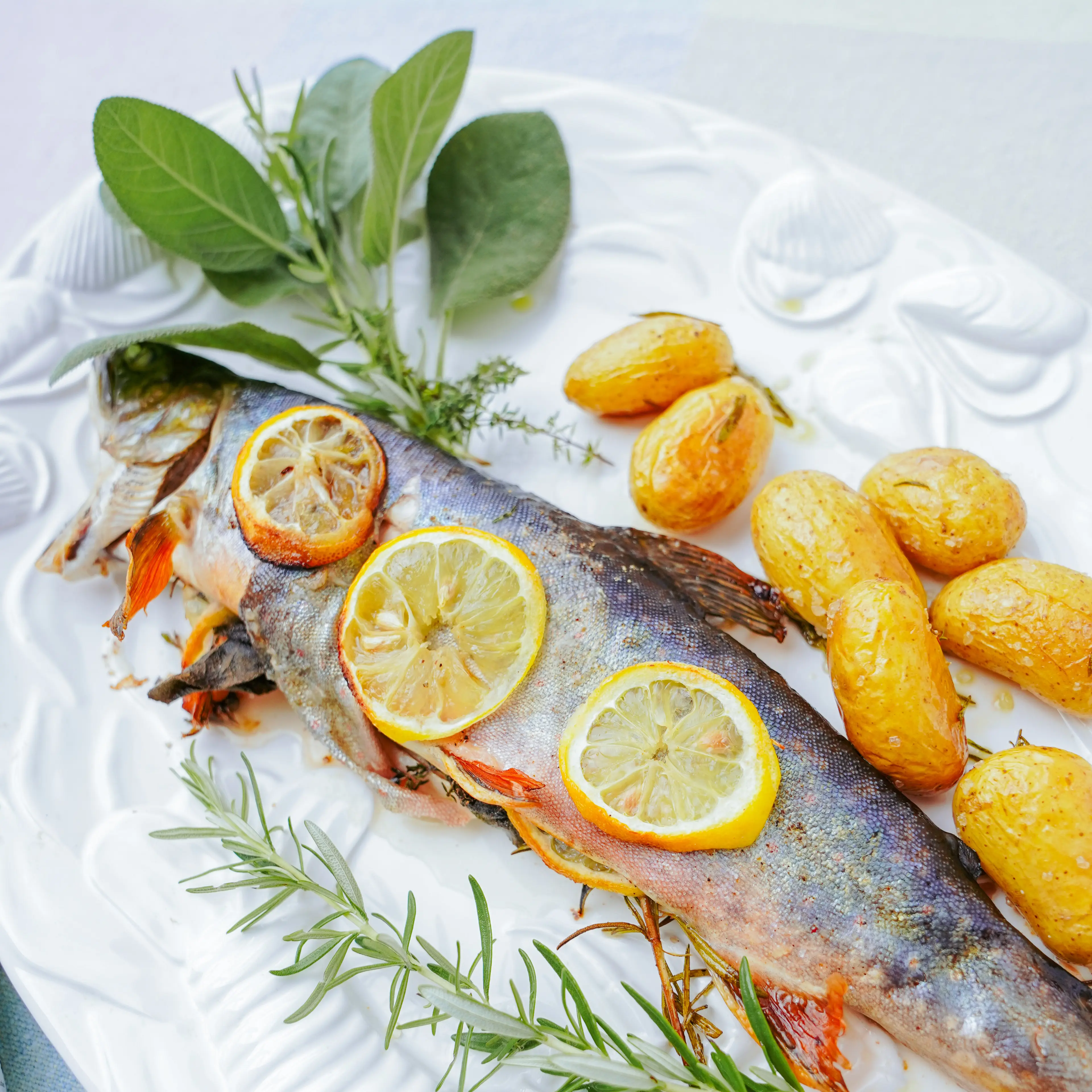 Knusprig gegrillter Saibling mit Zitronen und Bio Fischgewurz